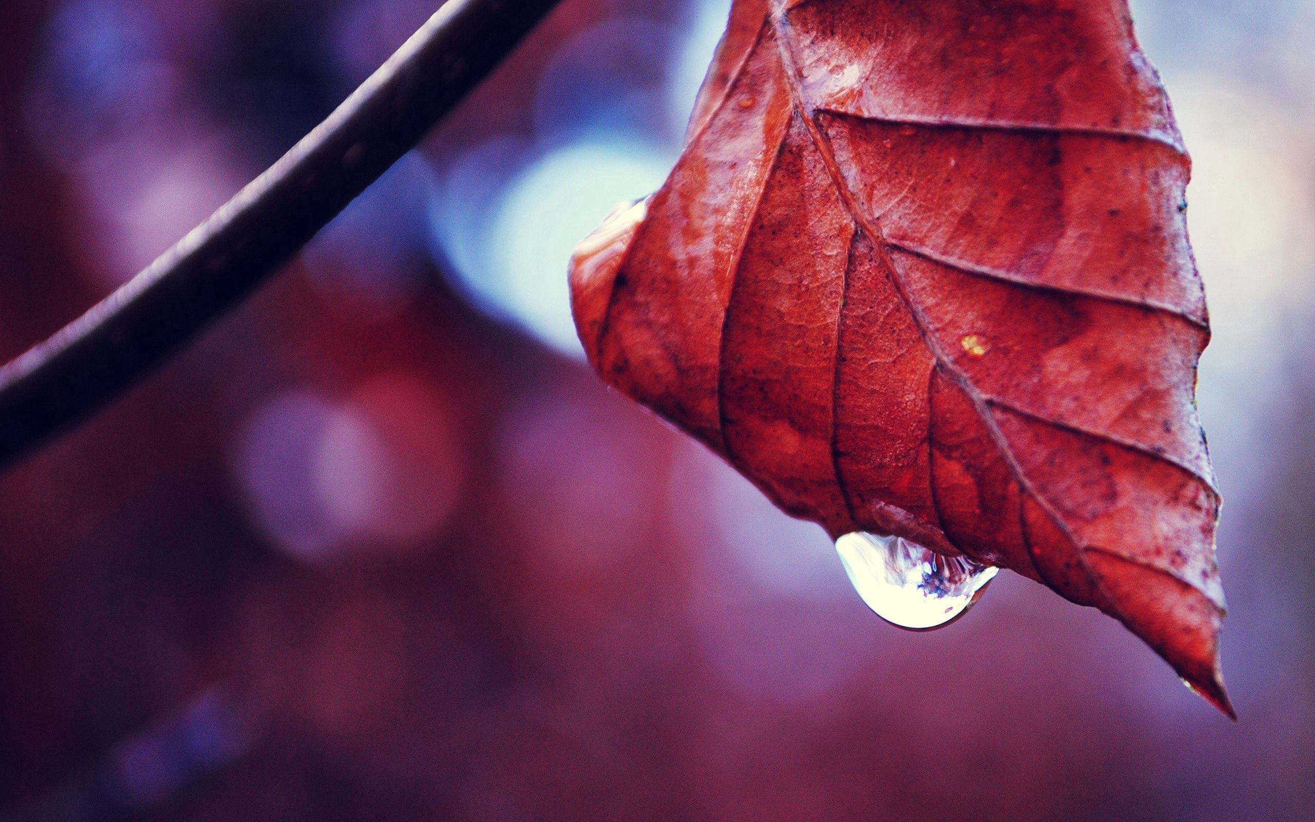  Autumn HD Android Wallpapers