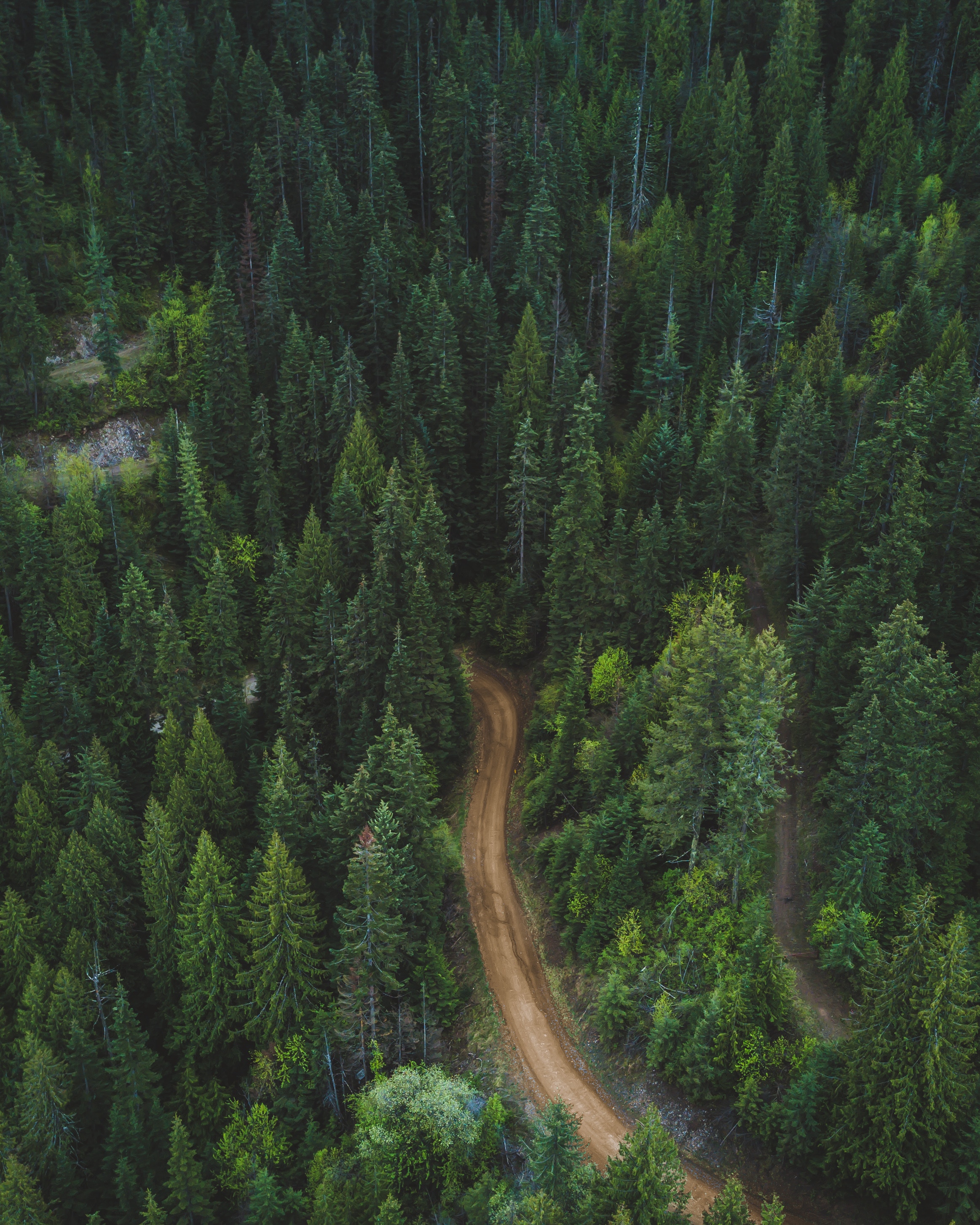 Download mobile wallpaper Forest, Vegetation, Road, View From Above, Nature for free.
