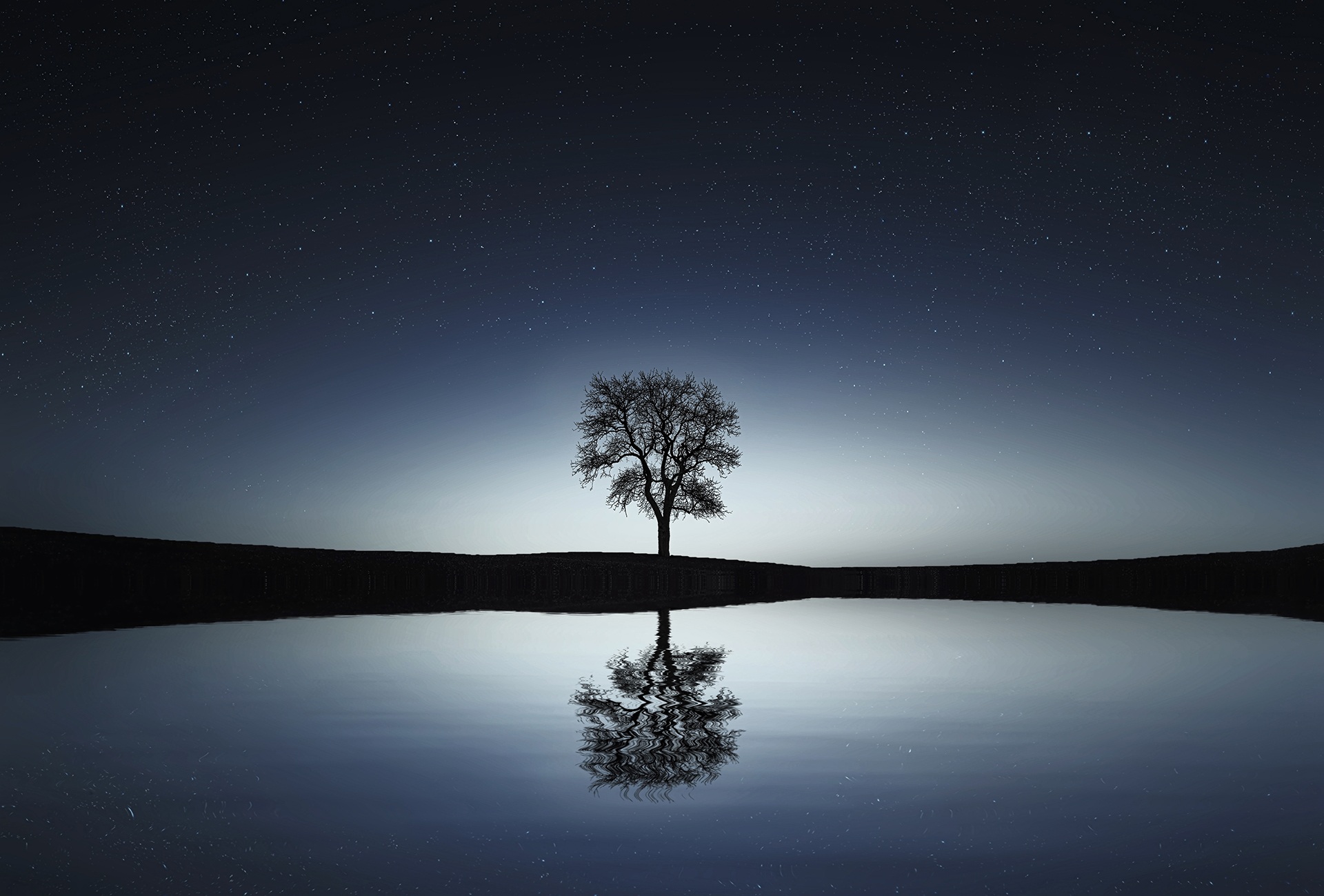 tree, water, night, nature, reflection, wood 4K