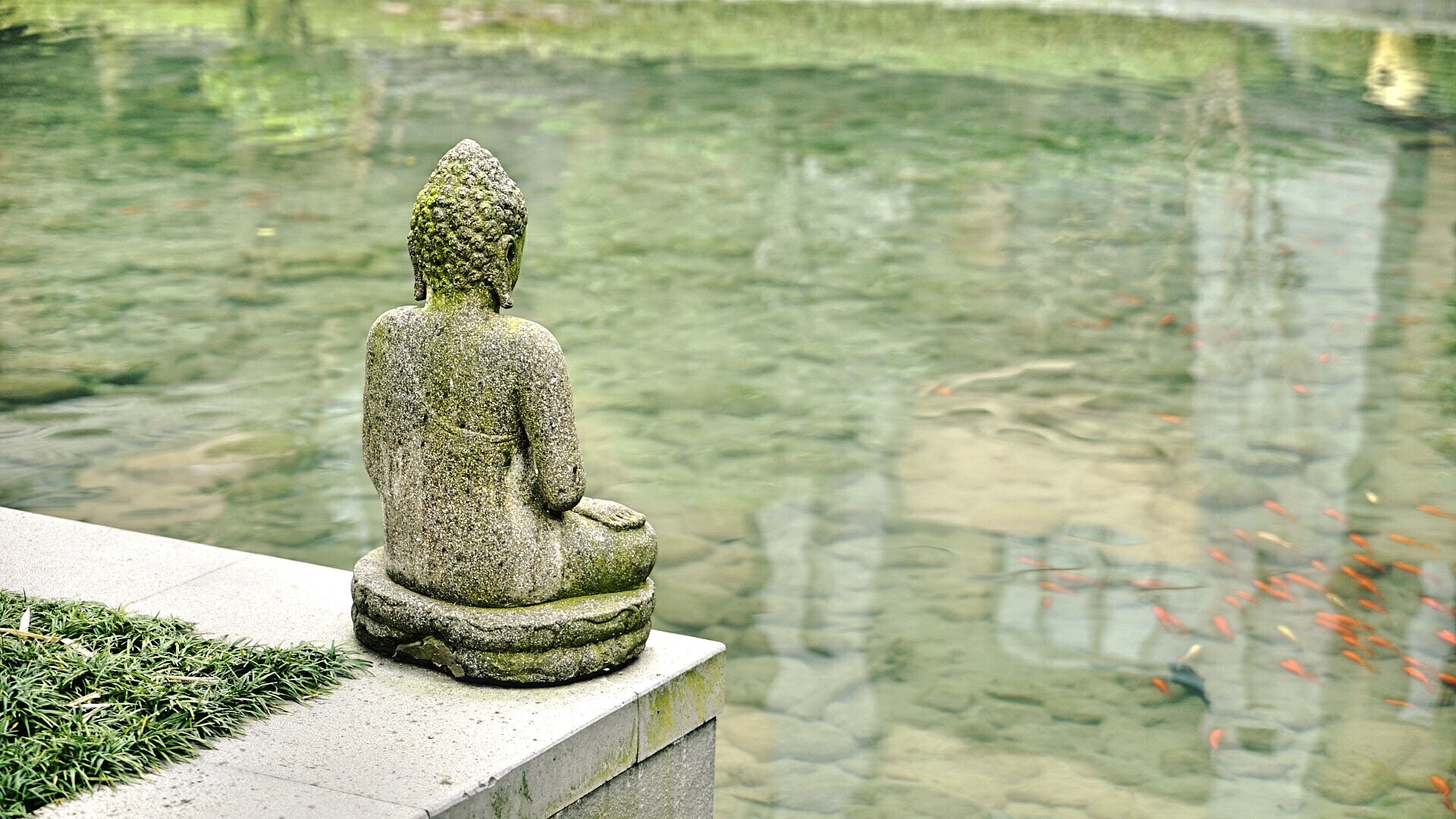buddha, religion, religious, fish, pond, sculpture, statue, water