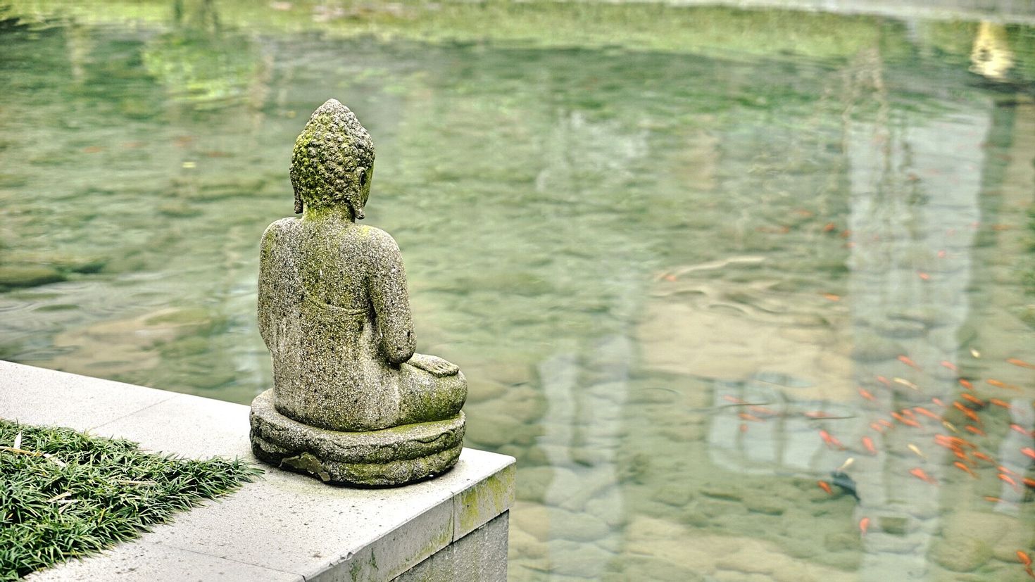 Пруд со скульптурой золотого лотоса. Скульптуры для пруда. Будда в воде. Статуя в пруду. Будда в Японии скульптура в саду.