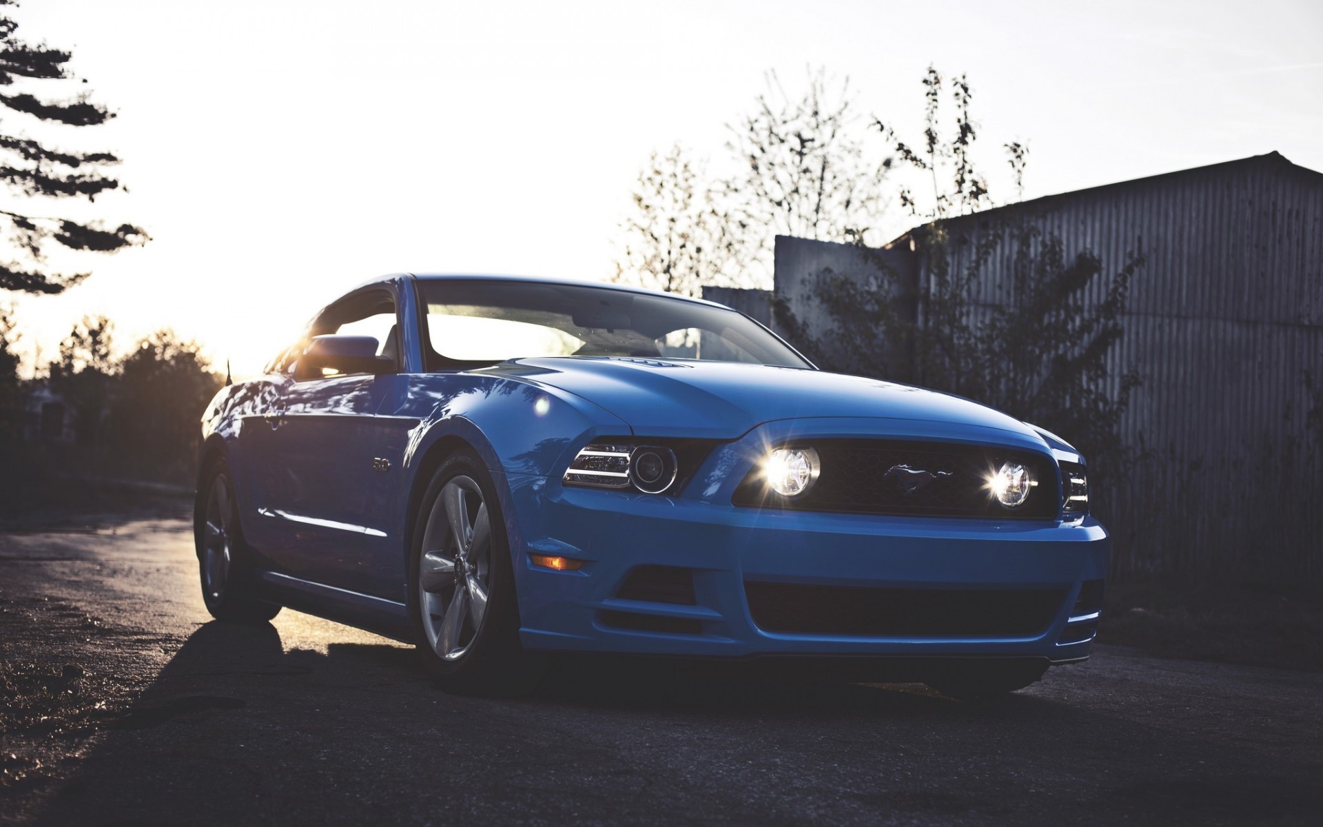 Ford Mustang gt 5.0 Blue