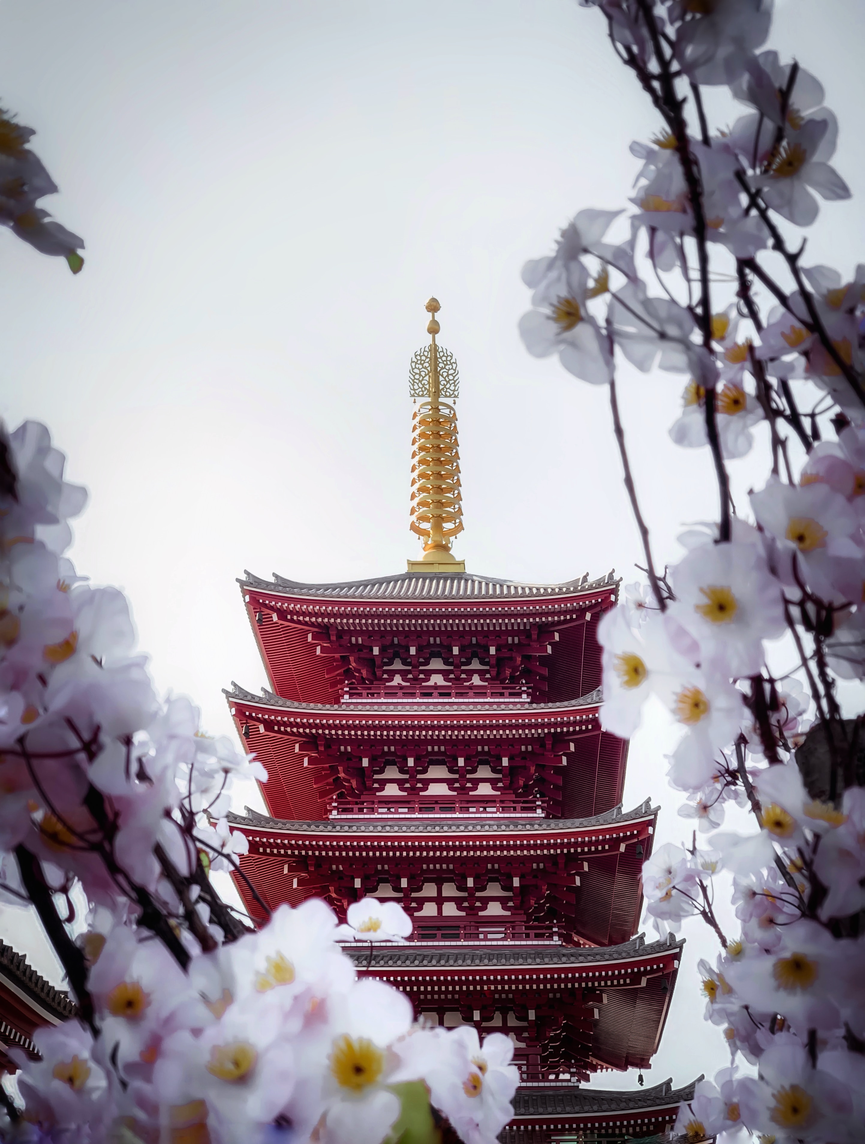 62165 Hintergrundbild herunterladen sakura, blumen, gebäude, verschiedenes, sonstige, pagode, tempel - Bildschirmschoner und Bilder kostenlos