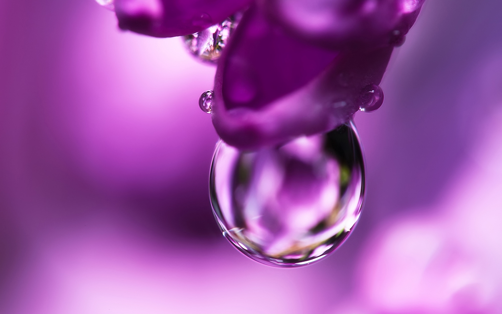 Download mobile wallpaper Drops, Violet, Objects for free.