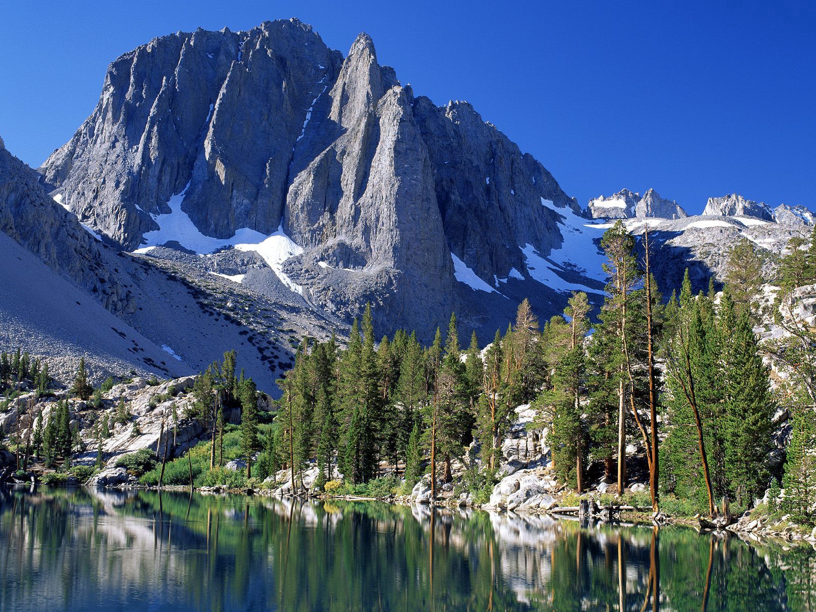68770 скачать картинку ели, природа, горы, снег, калифорния - обои и заставки бесплатно