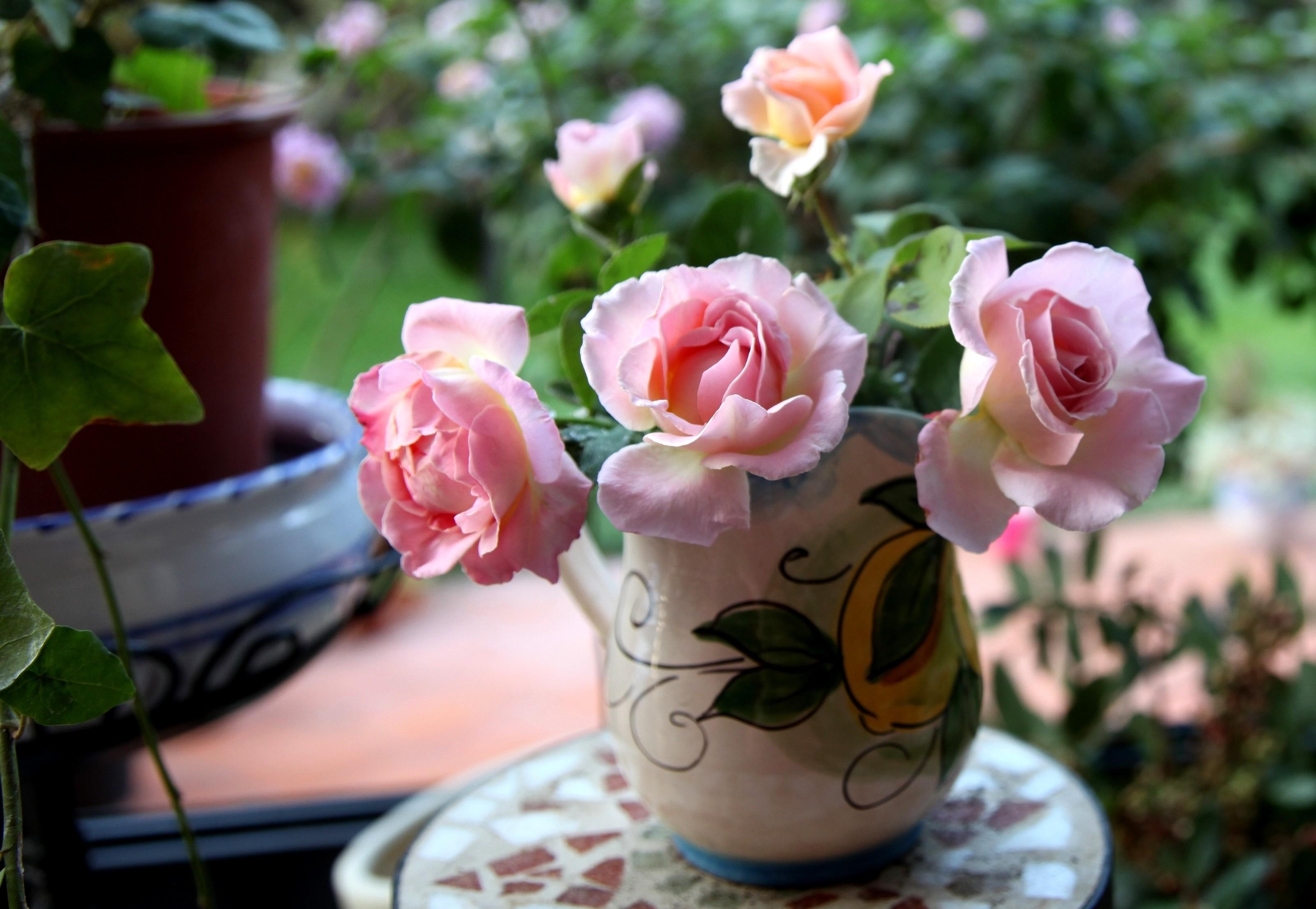 flowers, roses, bouquet, vase, sharpness Full HD