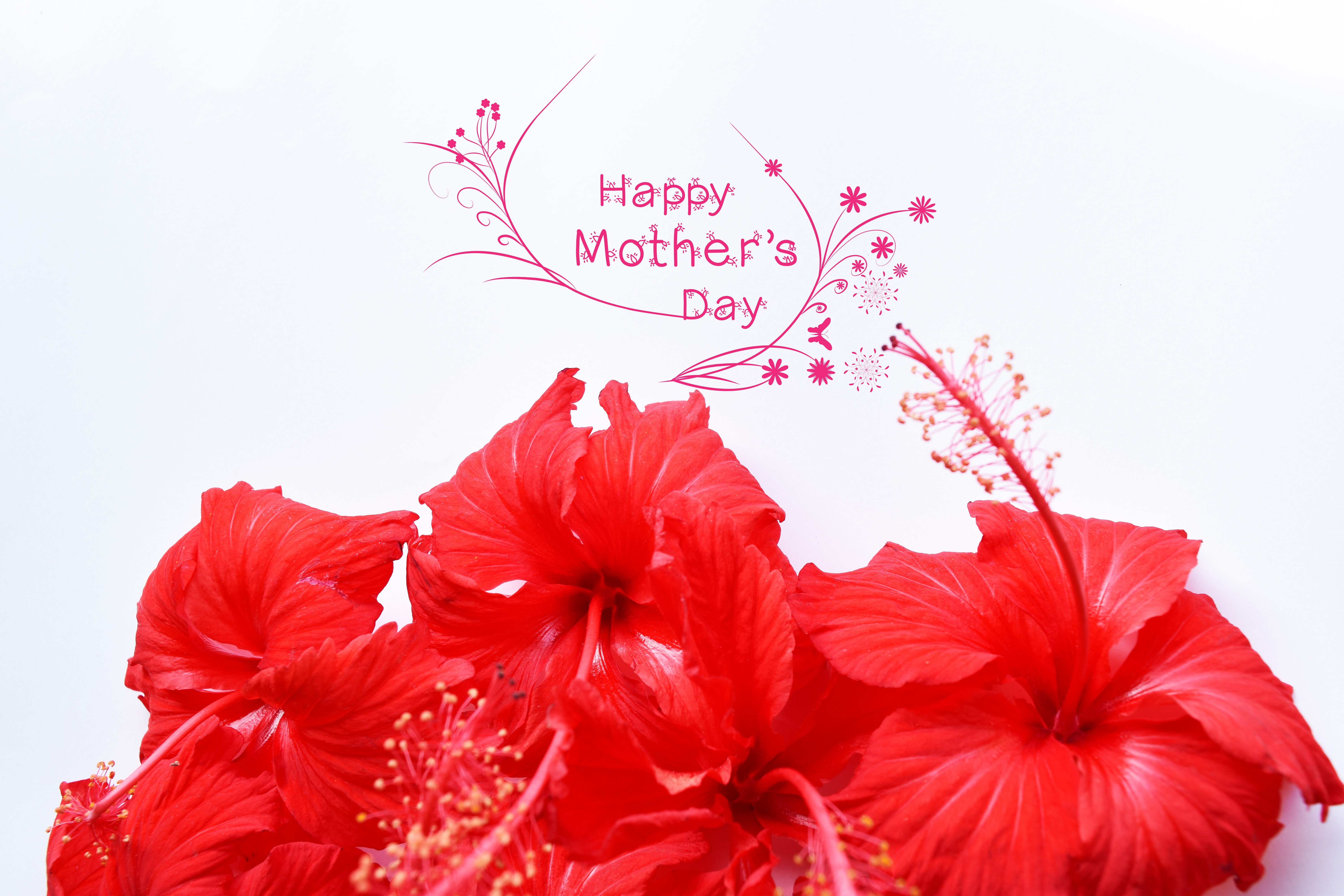 Download mobile wallpaper Flower, Holiday, Hibiscus, Red Flower, Mother's Day for free.