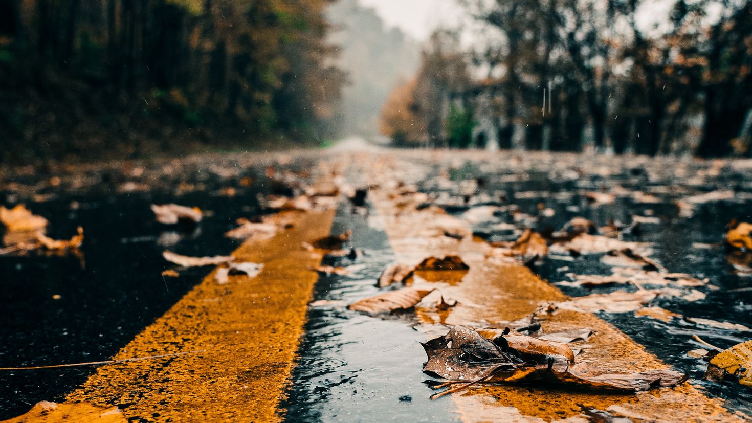 Осенняя дождливая дорога