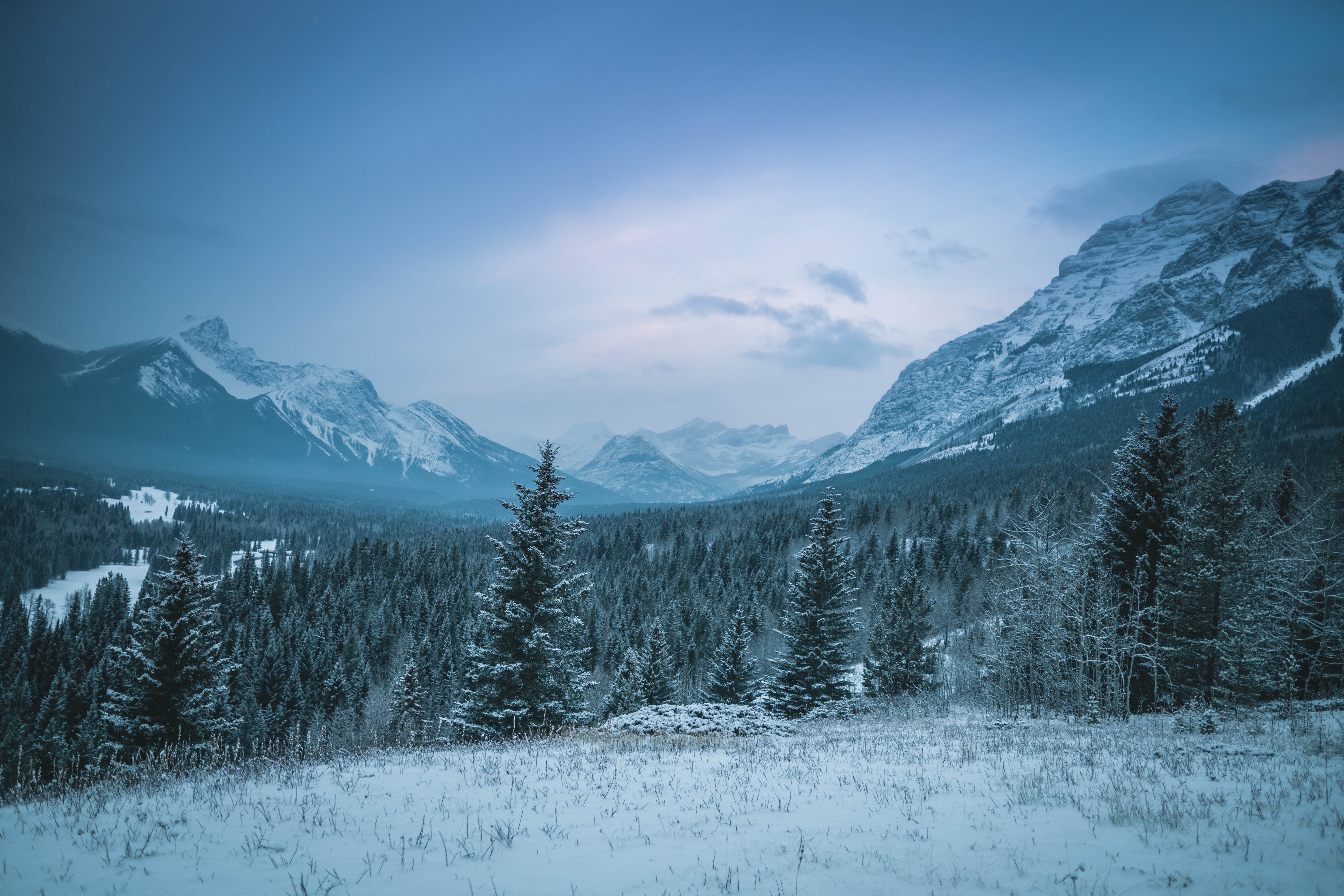 1005301 Hintergrundbild herunterladen erde/natur, winter, kanada, wald, gebirge, schnee, fichte - Bildschirmschoner und Bilder kostenlos