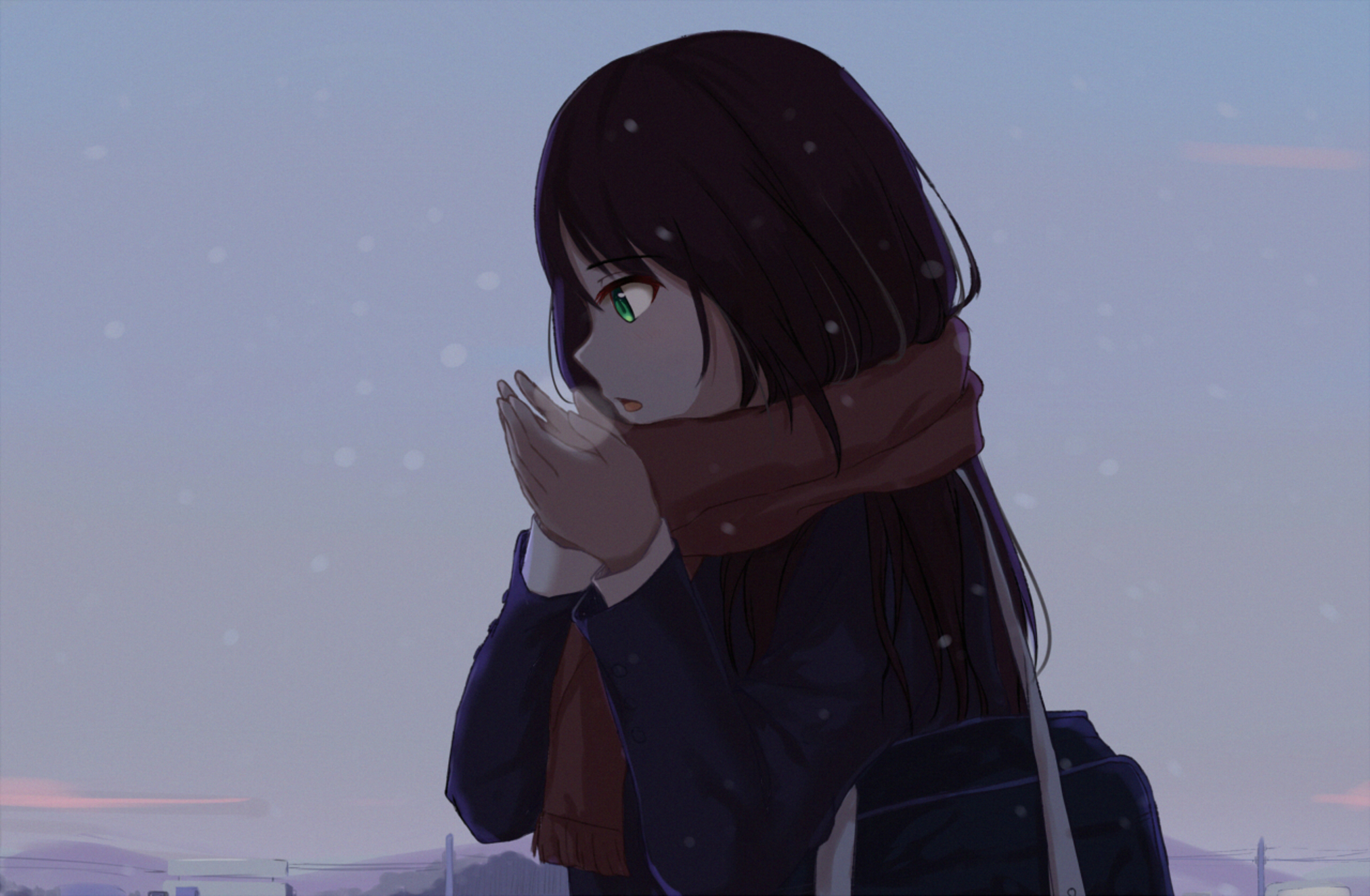 1920 x 1080 picture anime, original, cold, green eyes, long hair, sky
