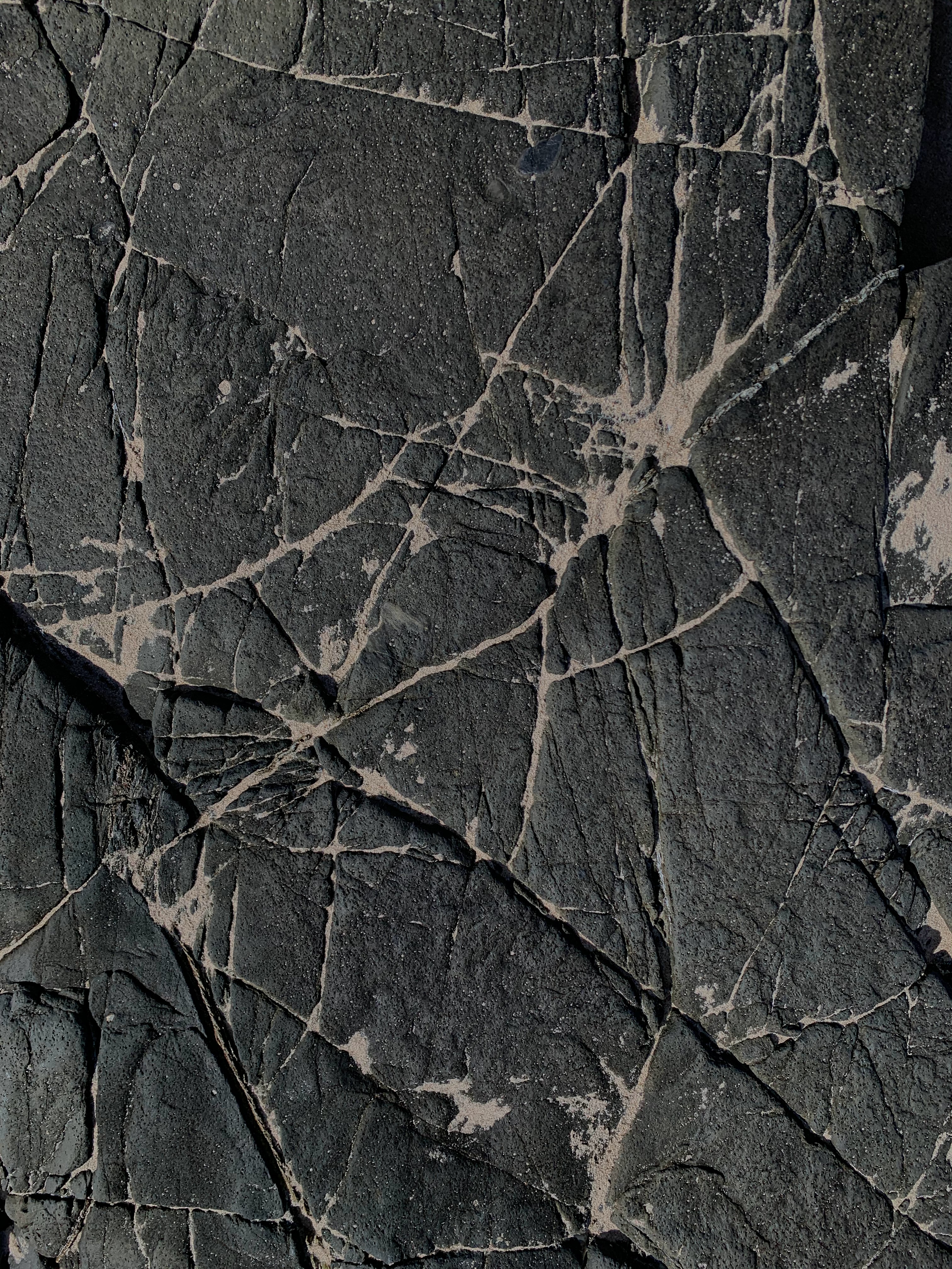 texture, textures, rock, grey, stone, cracks, crack