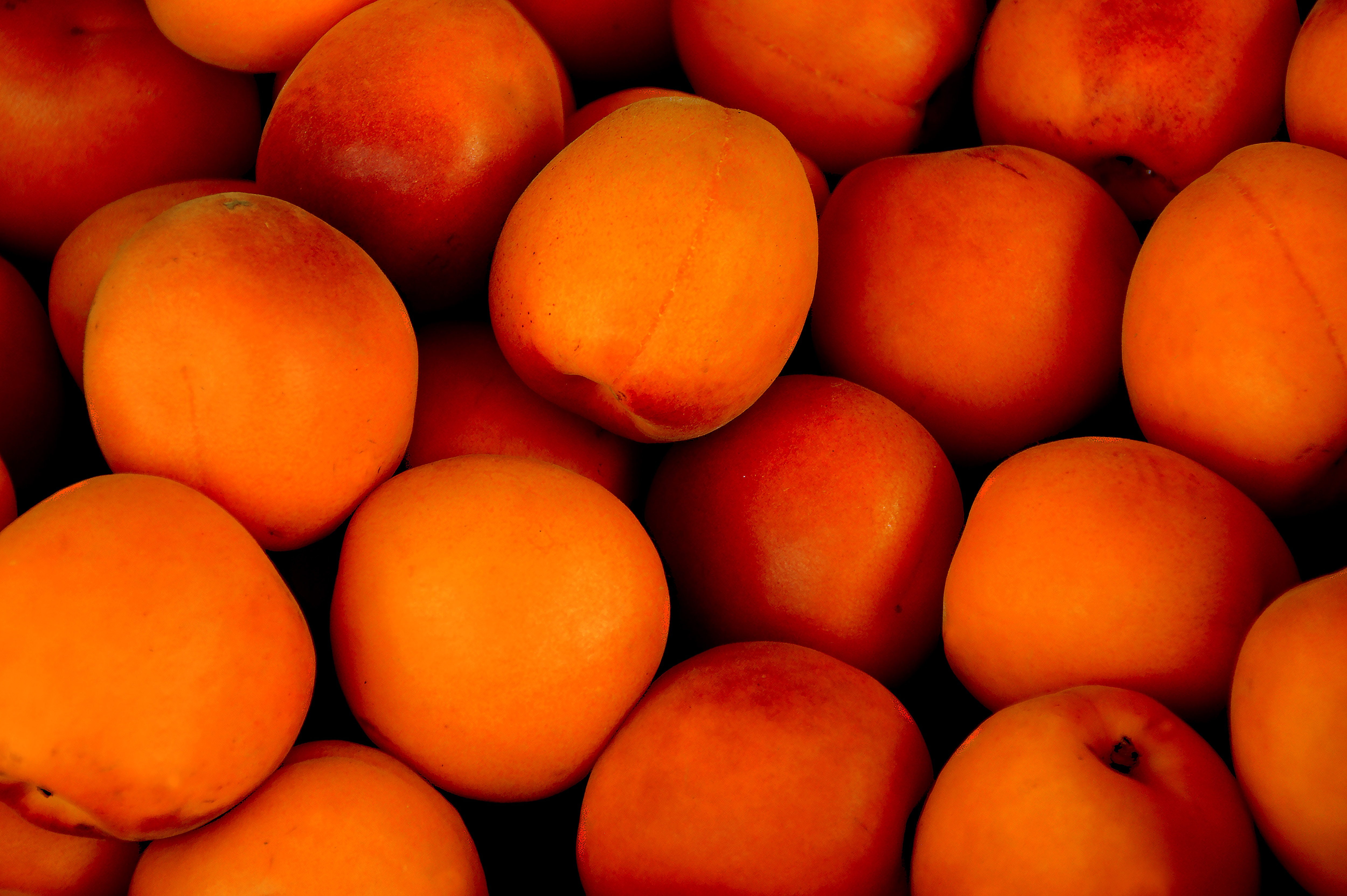 fruits, food, ripe, apricots Full HD