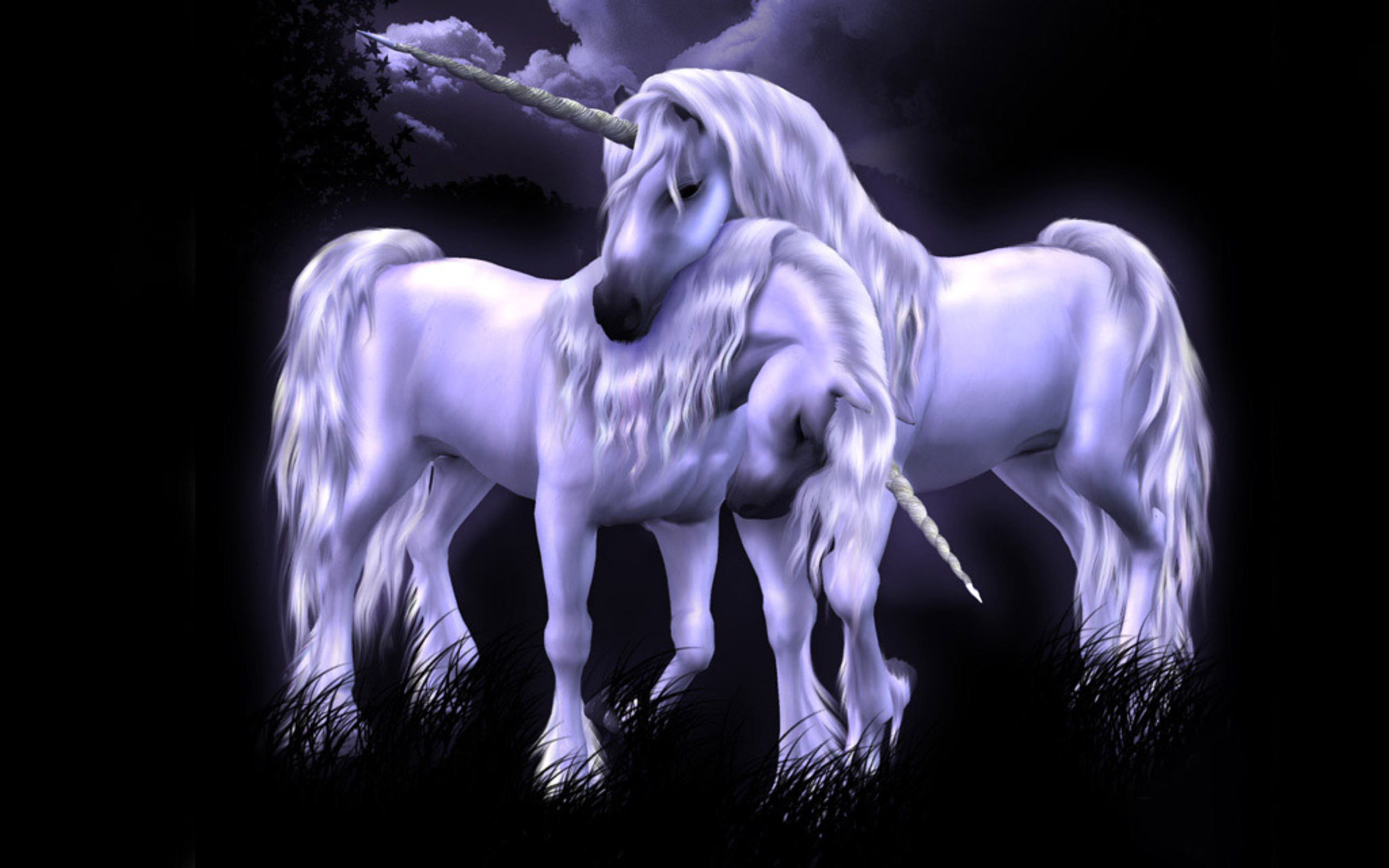 unicorn, fantasy, fantasy animals cellphone