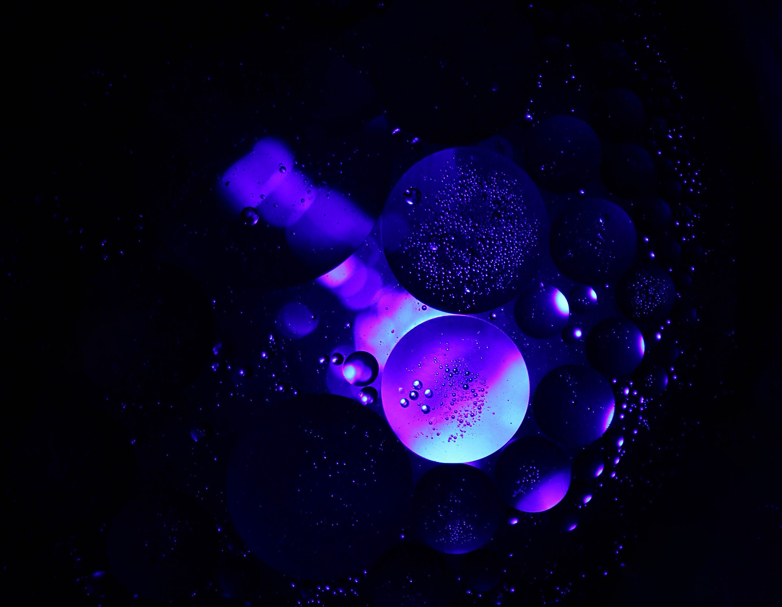 bubbles, structure, transparent, macro, circles, purple, air