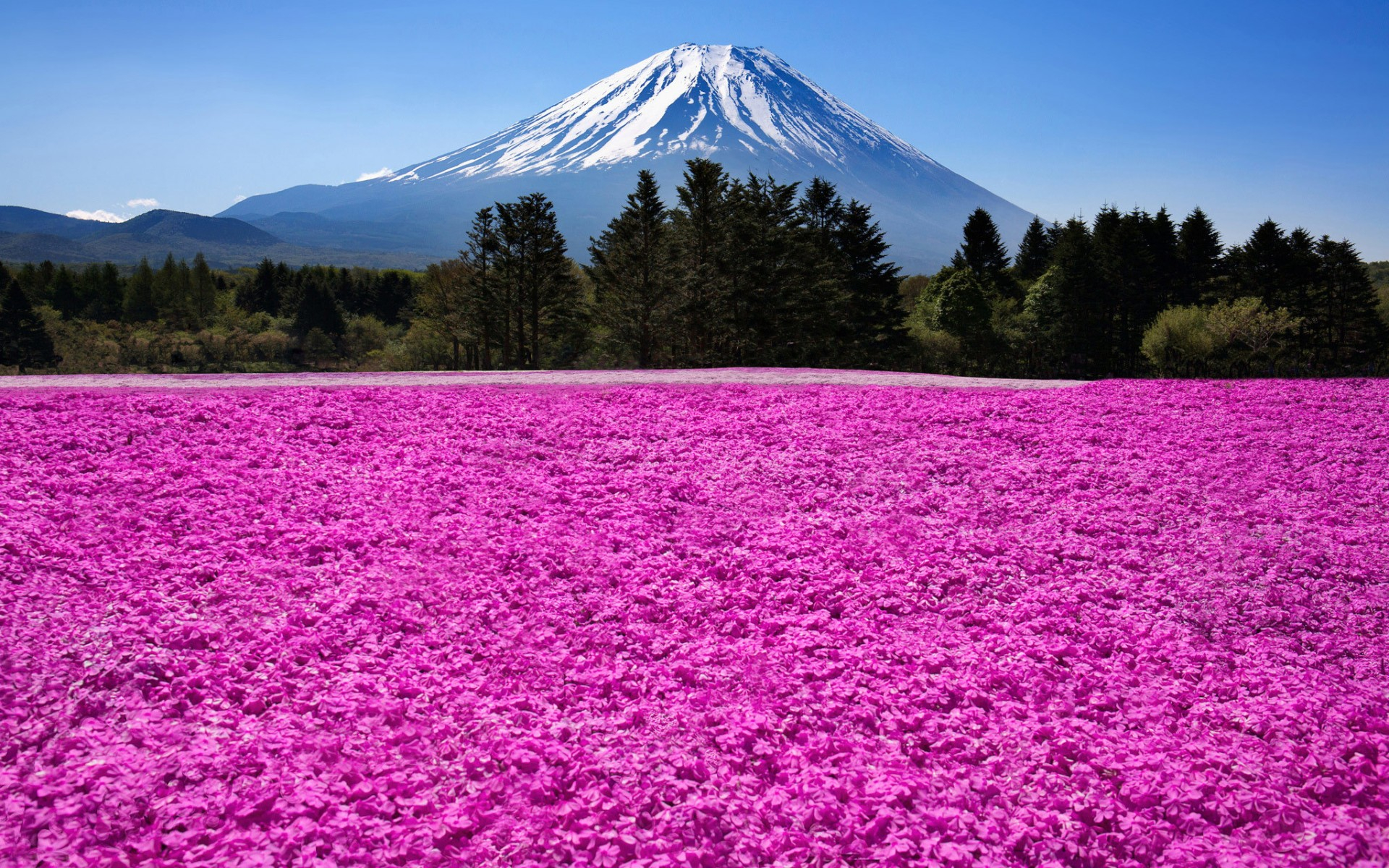 336909壁紙のダウンロード地球, 富士山, 日本, 火山-スクリーンセーバーと写真を無料で