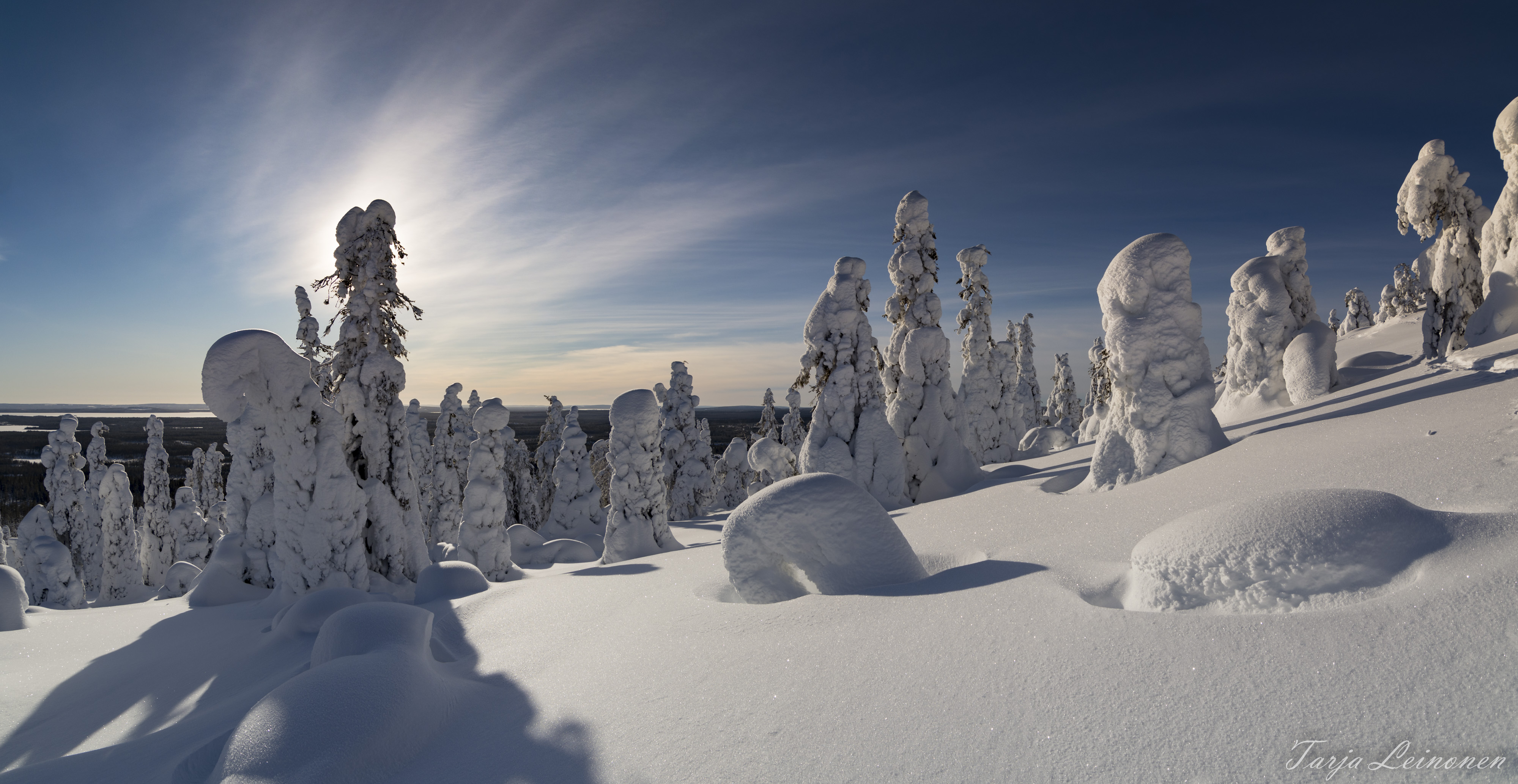 516799 Hintergrundbild herunterladen erde/natur, riisitunturi nationalpark, finnland, winter, nationalpark - Bildschirmschoner und Bilder kostenlos
