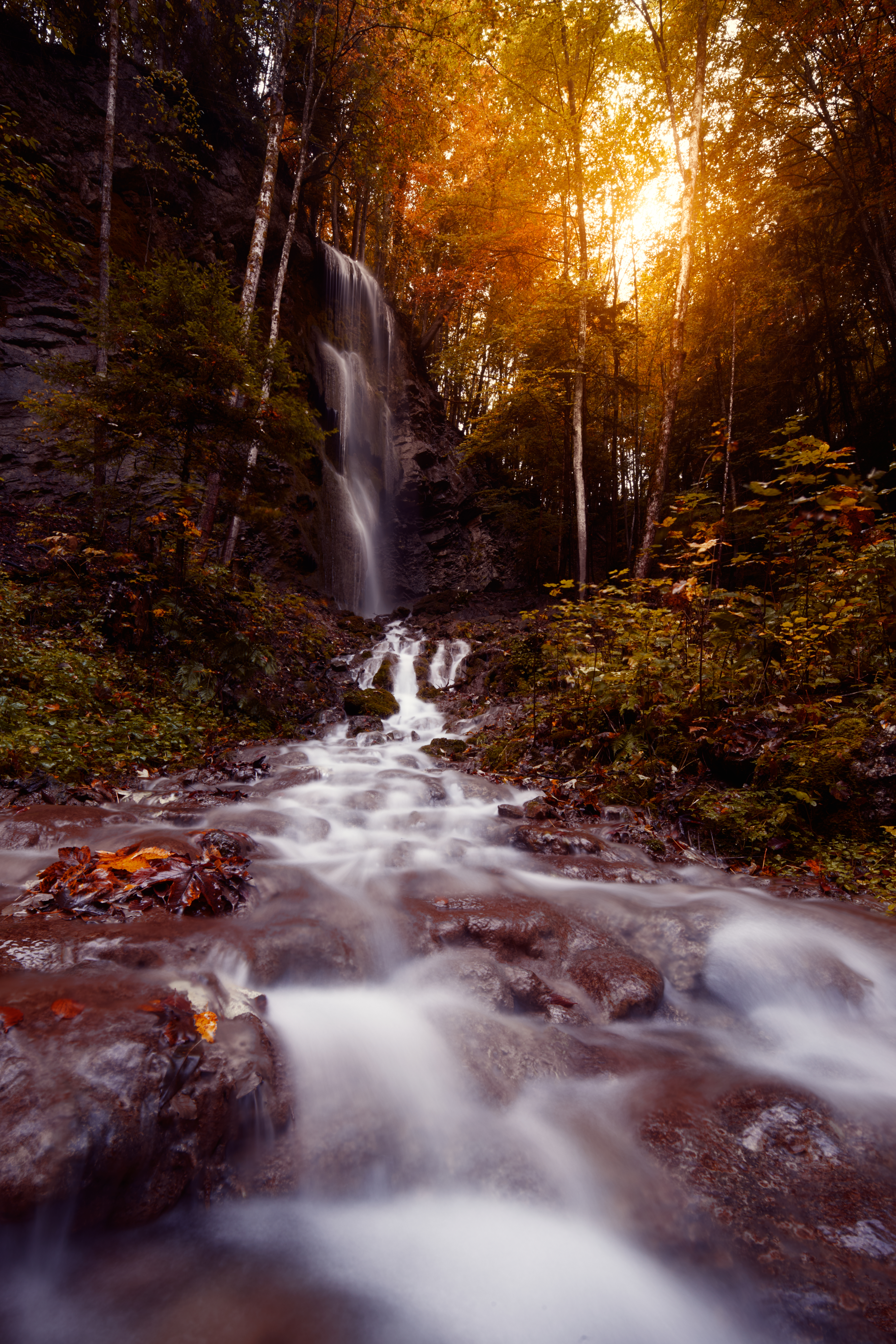 water, waterfall, nature, trees, stones, flow, stream 5K