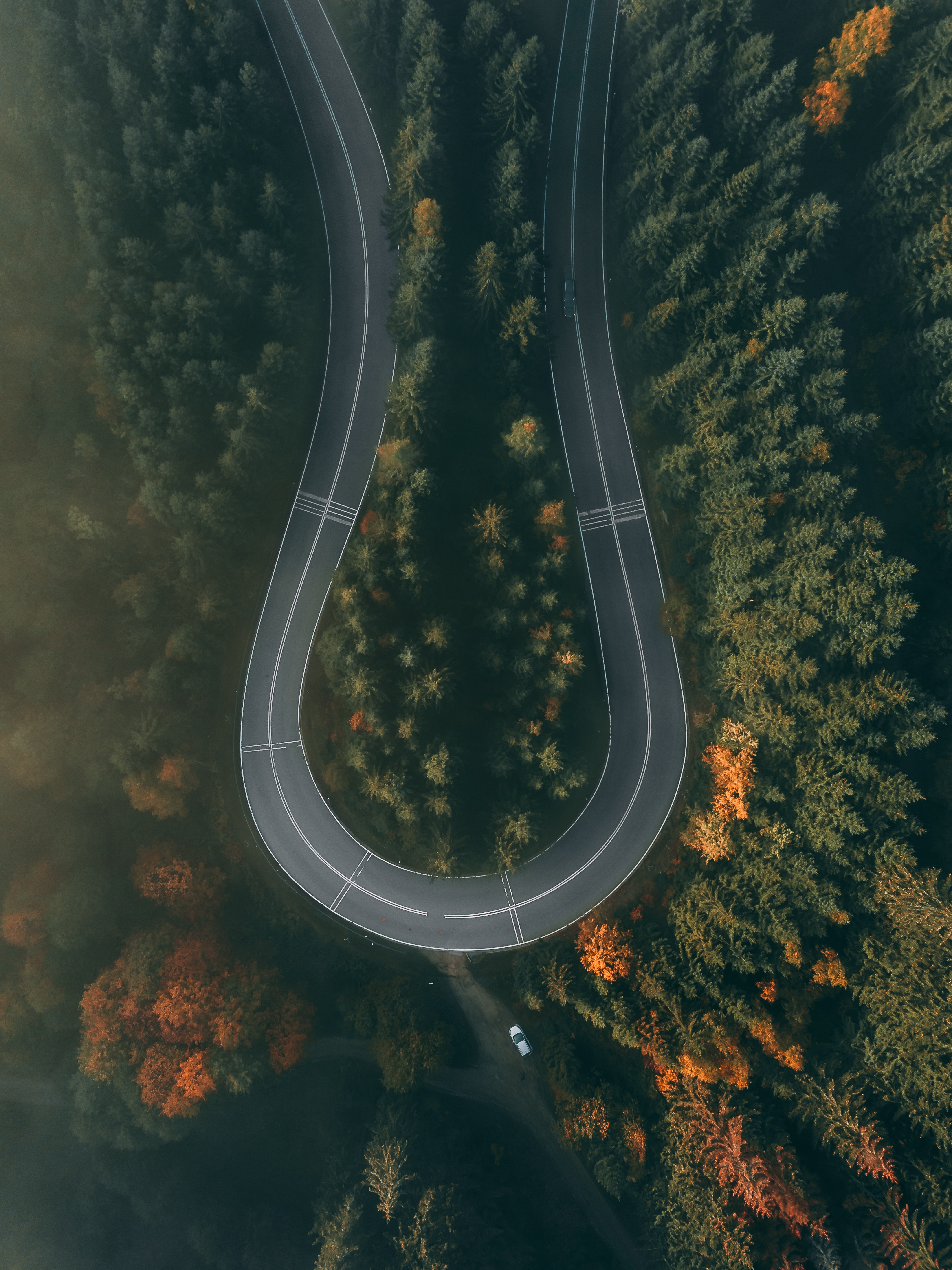 nature, view from above, road, turn, forest, winding, sinuous 4K