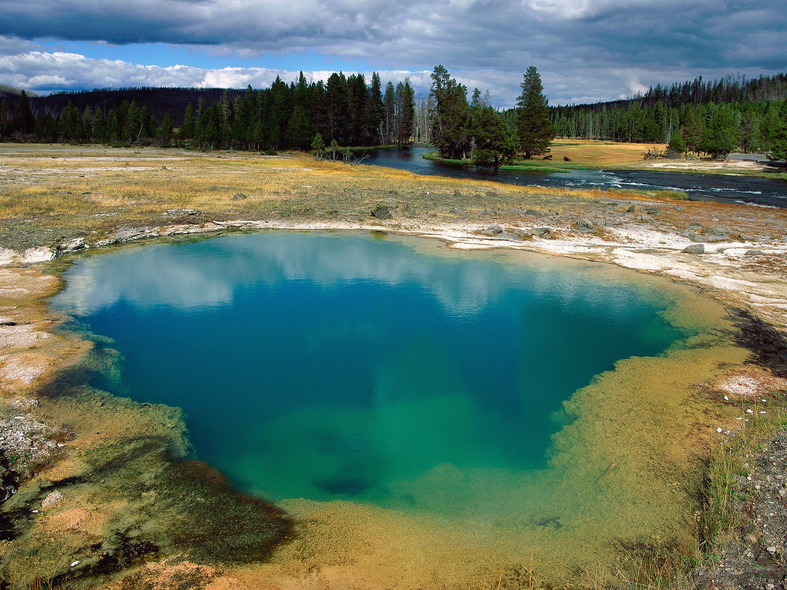 earth, yellowstone national park, national park
