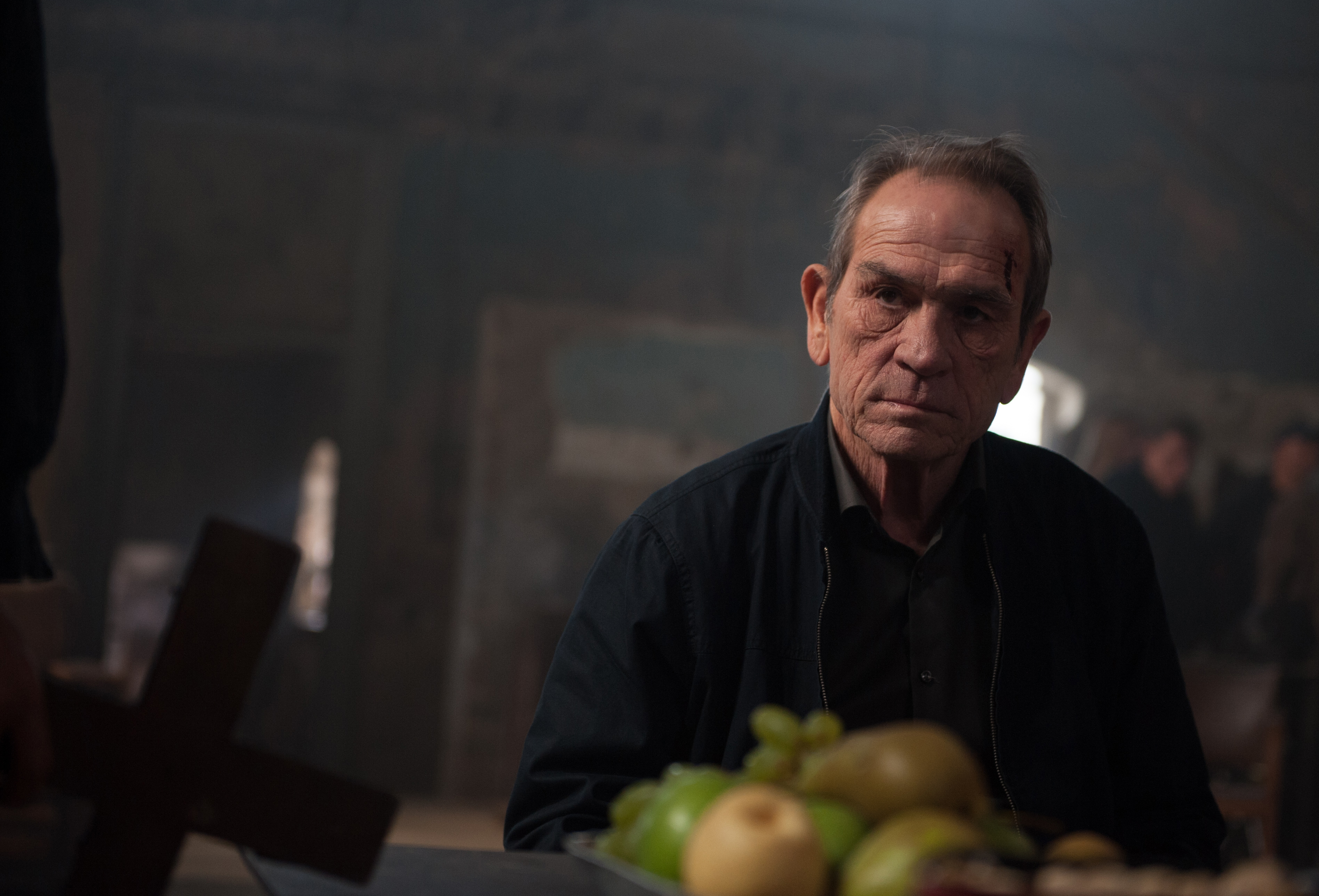 Películas de tommy lee jones