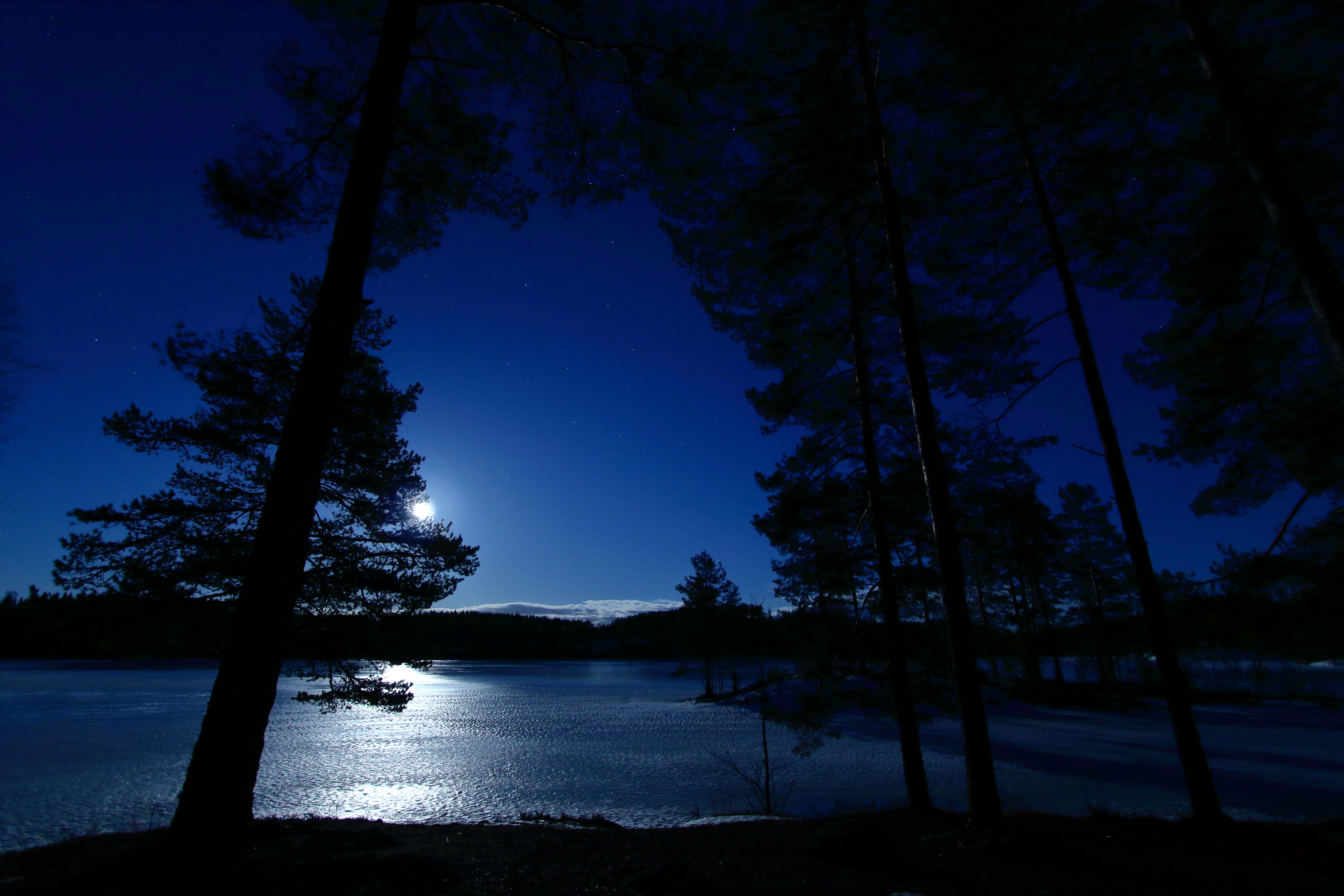 dahl, nature, trees, sky, night, lake, distance, norway cell phone wallpapers