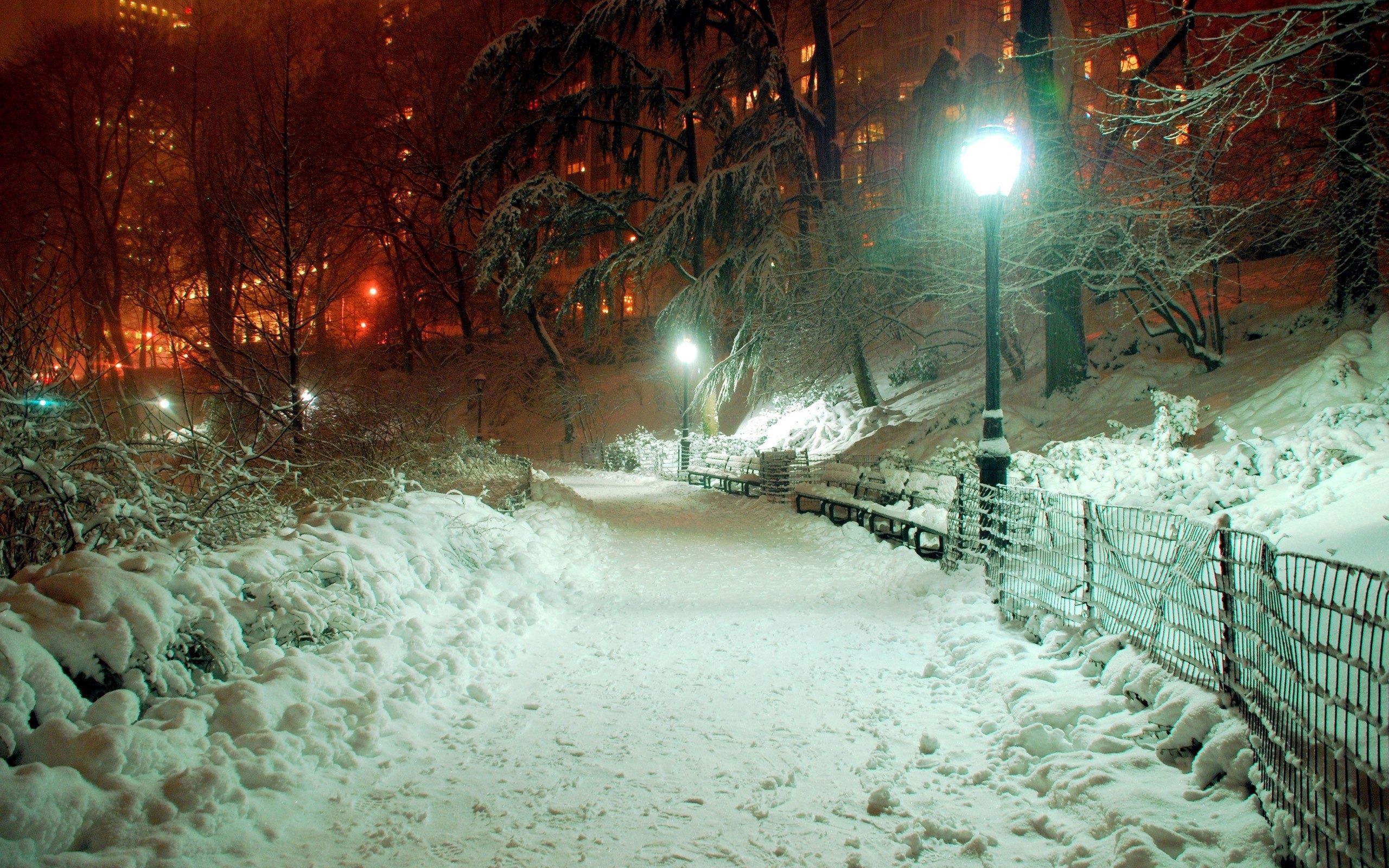 winter, lamp, lantern, nature, shine, light, park, drifts, january