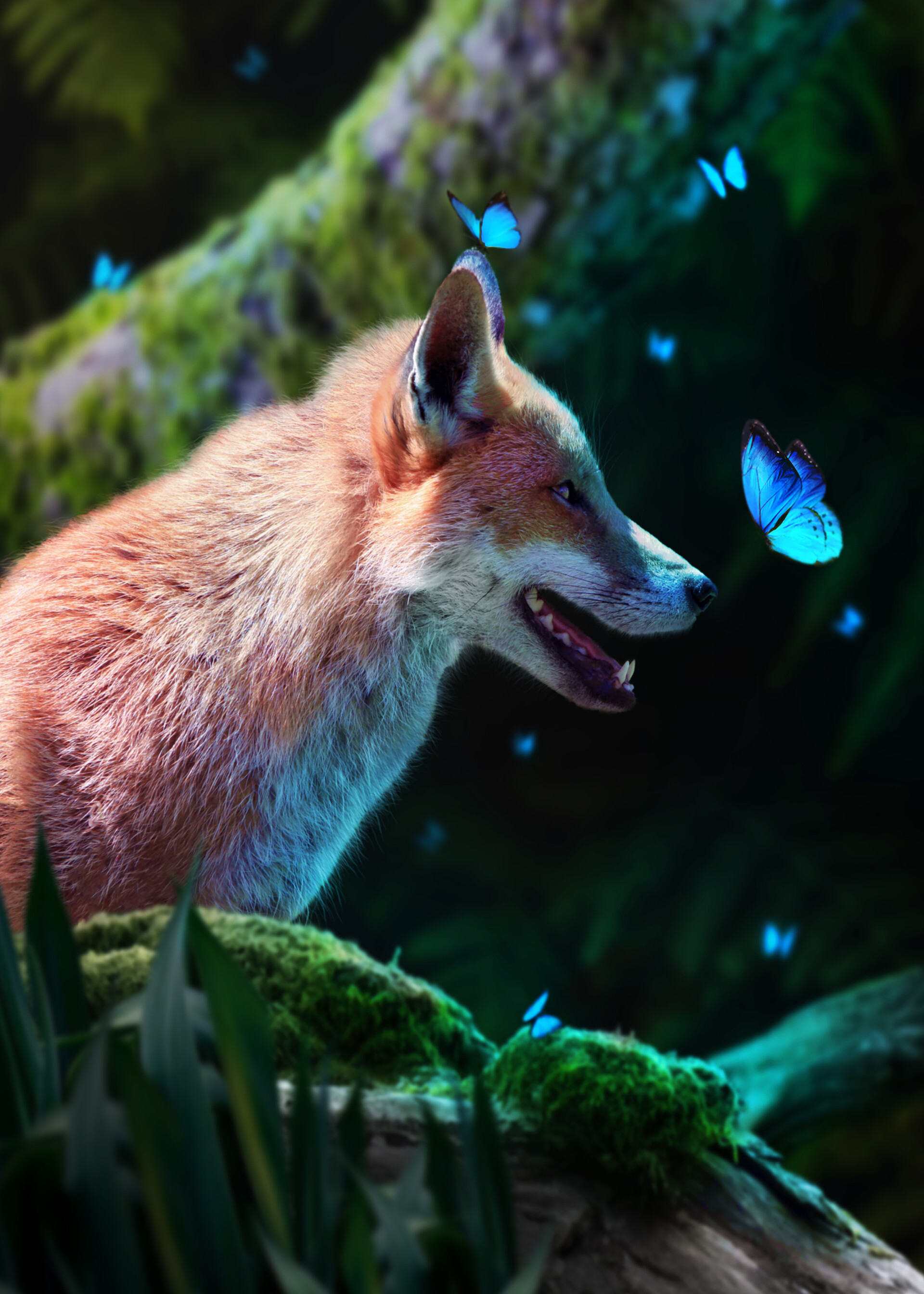 Free download wallpaper Animals, Nice, Sweetheart, Wildlife, Animal, Fox, Butterflies on your PC desktop