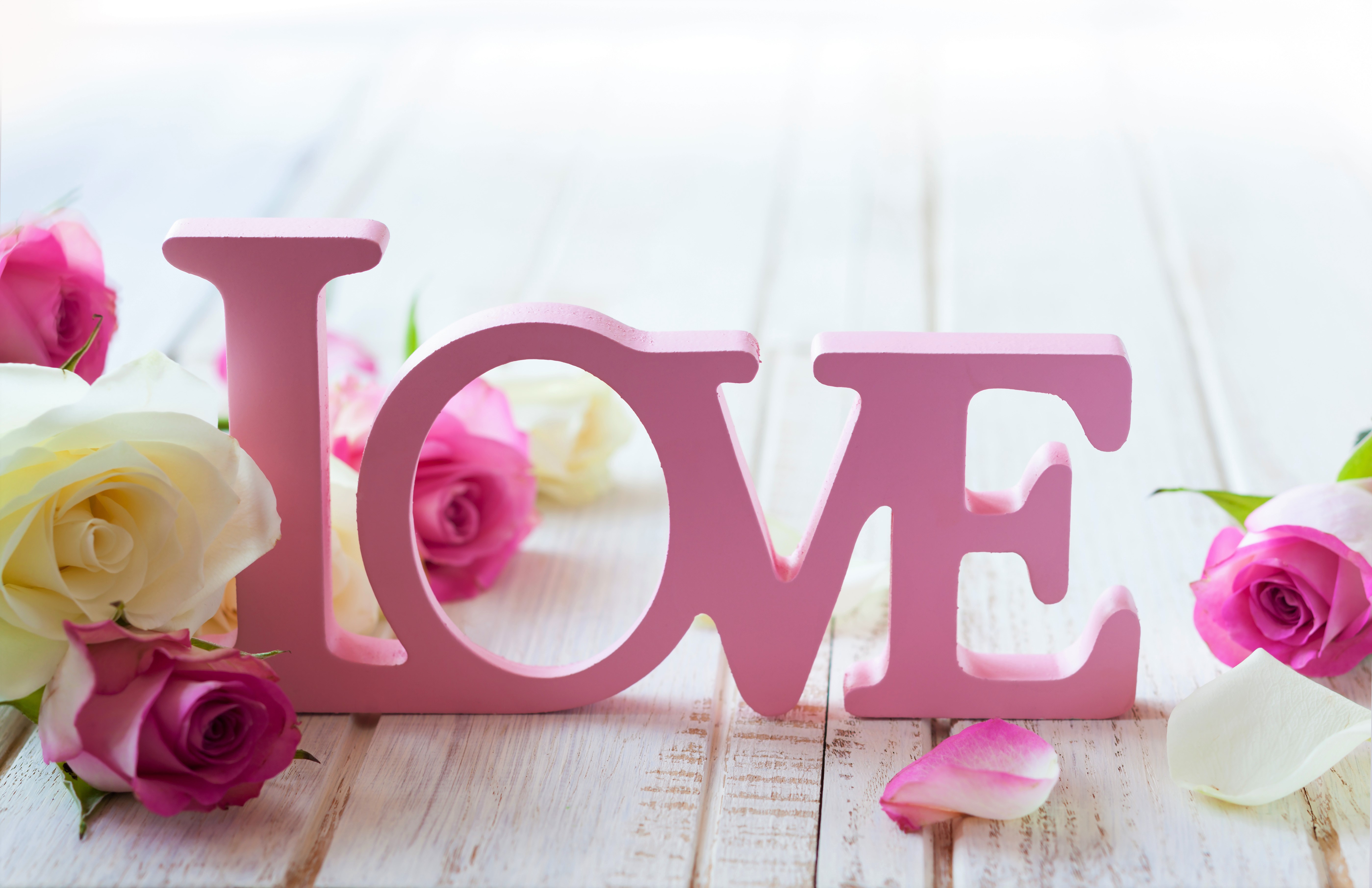 artistic, love, petal, pink rose, pink, white rose, wood, word Full HD
