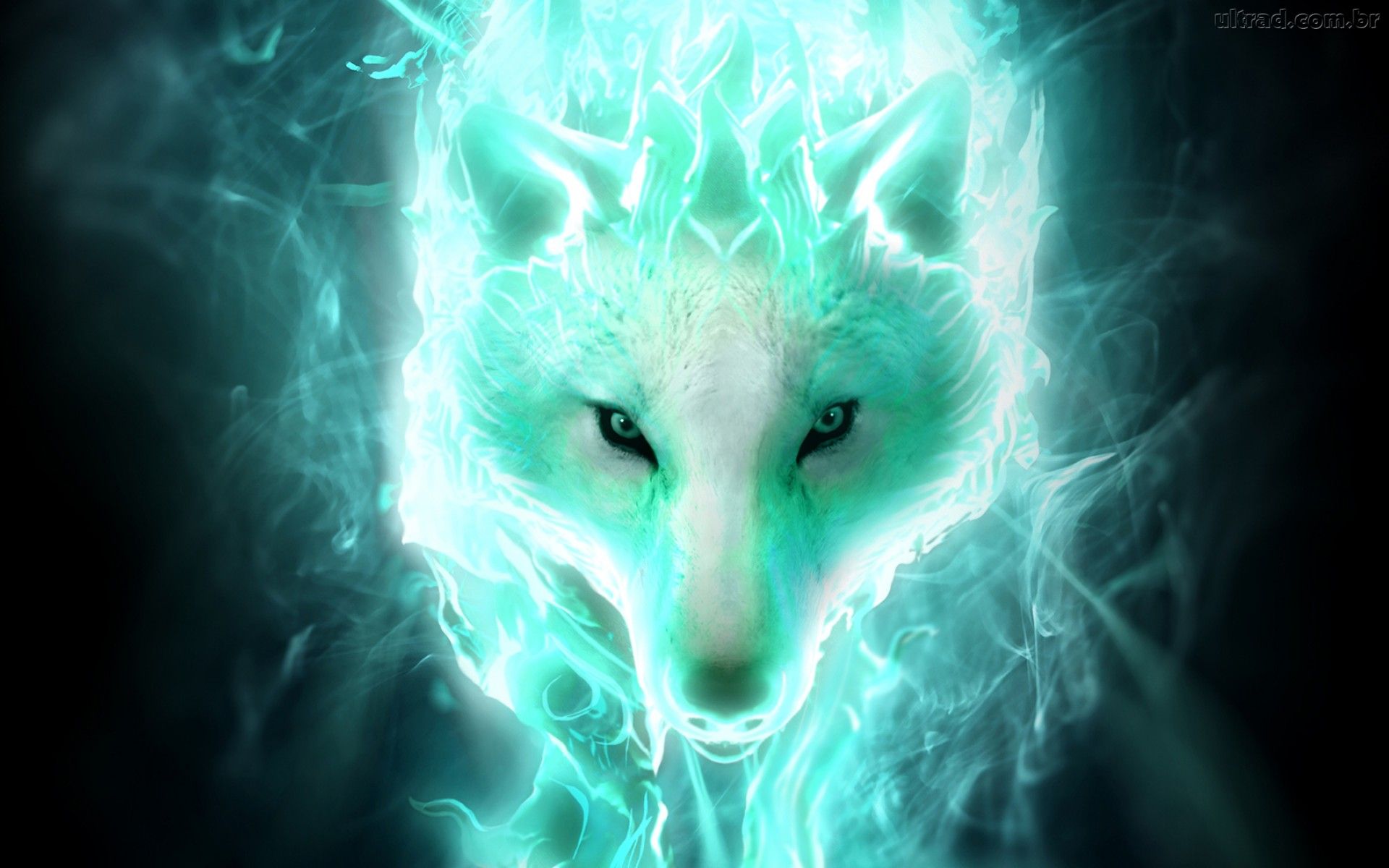 Download mobile wallpaper Fantasy Animals, Spirit, Wolf, Fantasy for free.