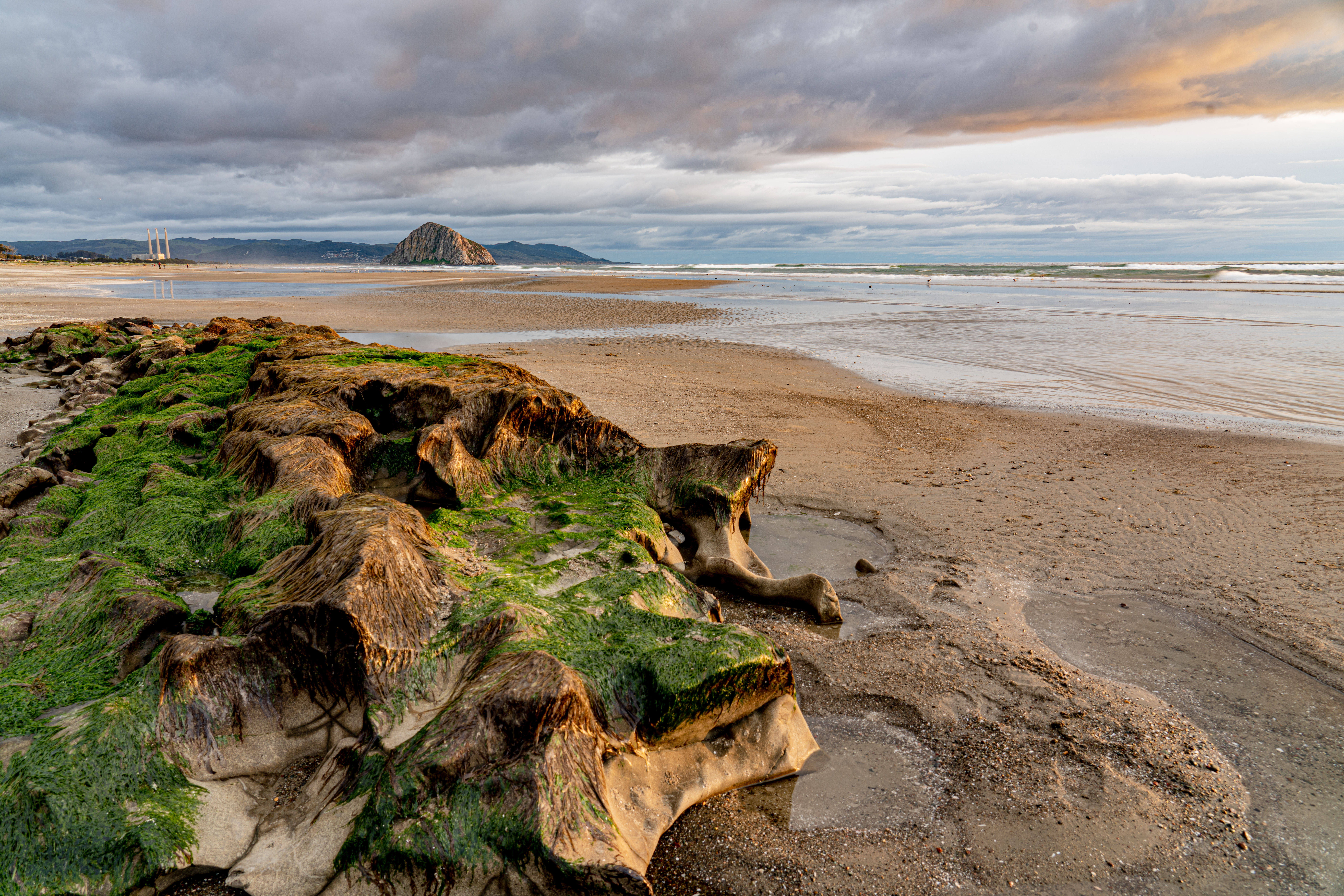 seaweed, nature, water, stones, sea, beach, horizon, algae wallpapers for tablet