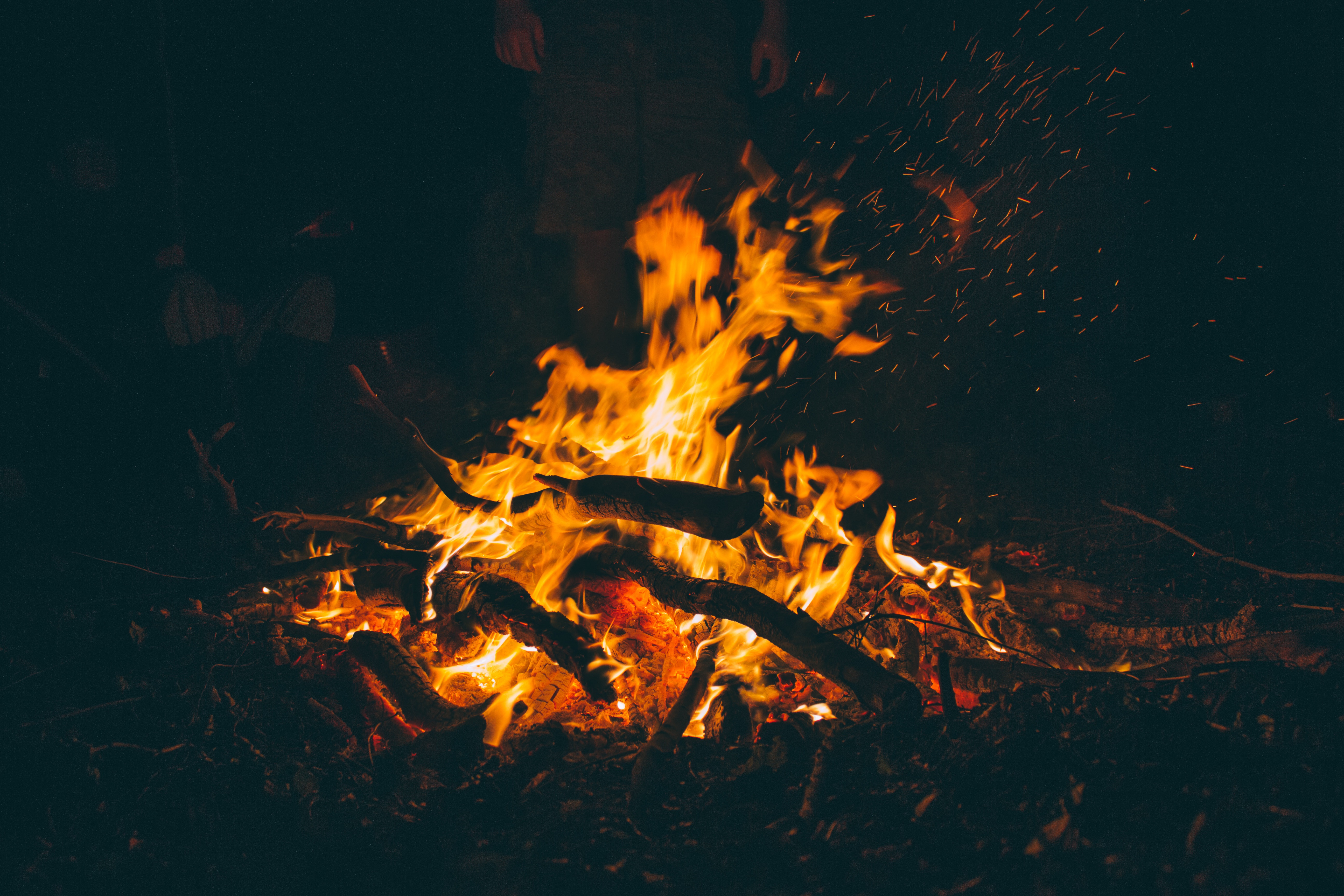 firewood, bonfire, dark, fire, ash