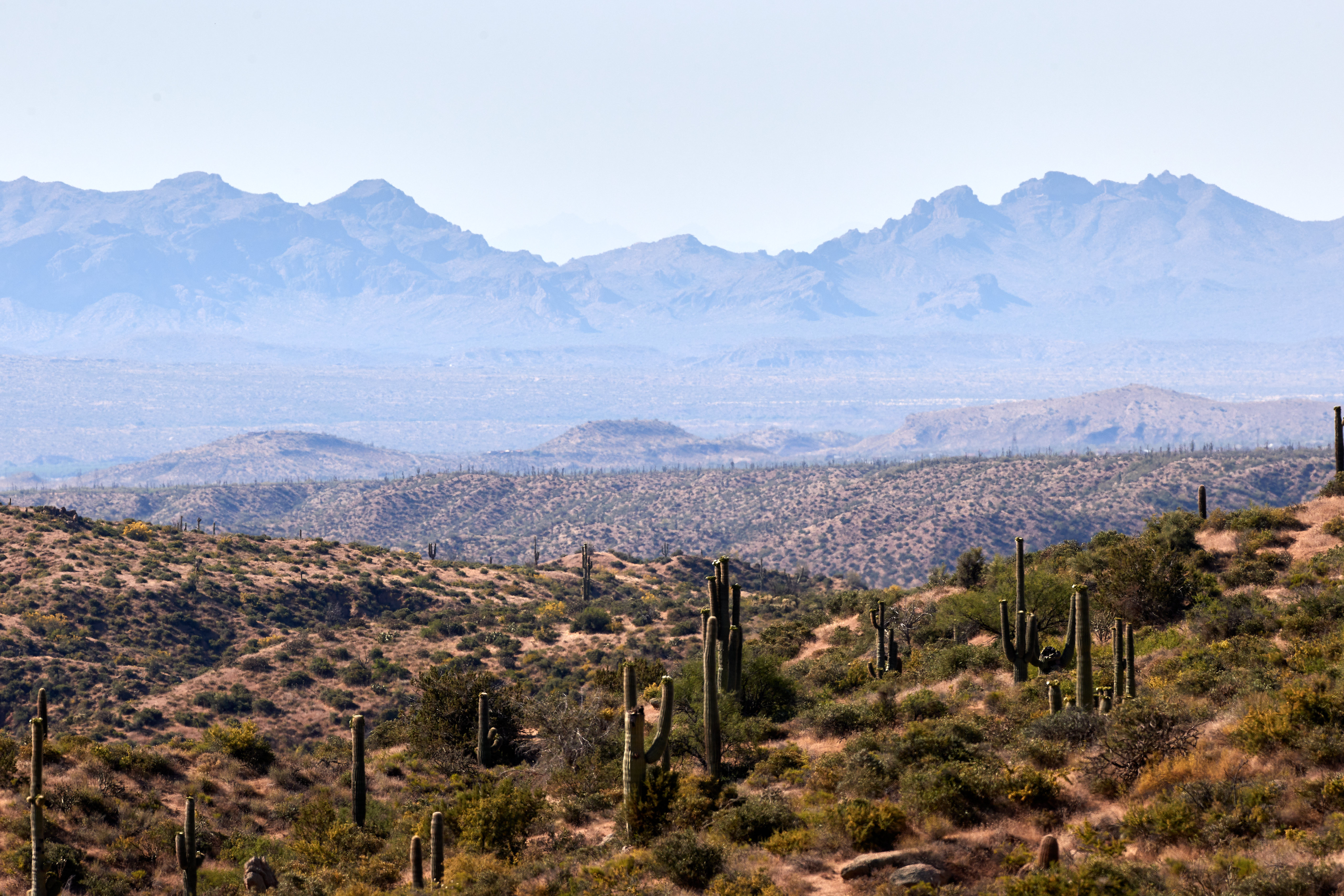 nature, cactuses, mountains, prairie, dahl, distance Free Stock Photo