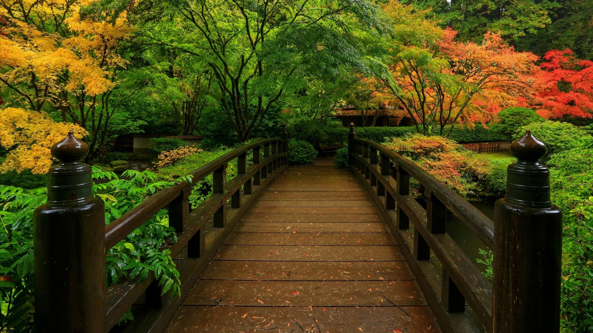 japanese garden, man made, bridge, fall