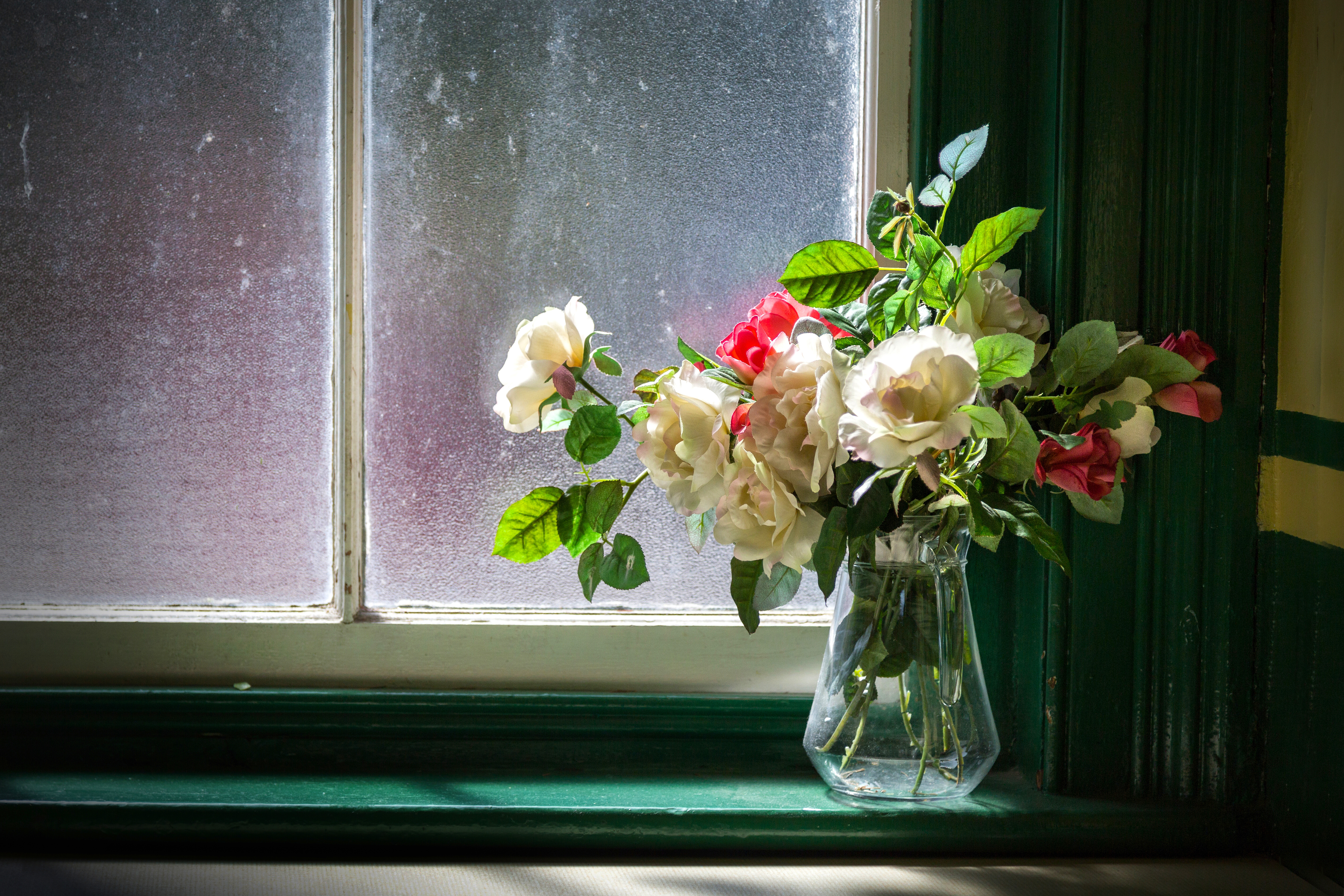 Download mobile wallpaper Still Life, Flower, Window, Vase, Photography, White Flower for free.