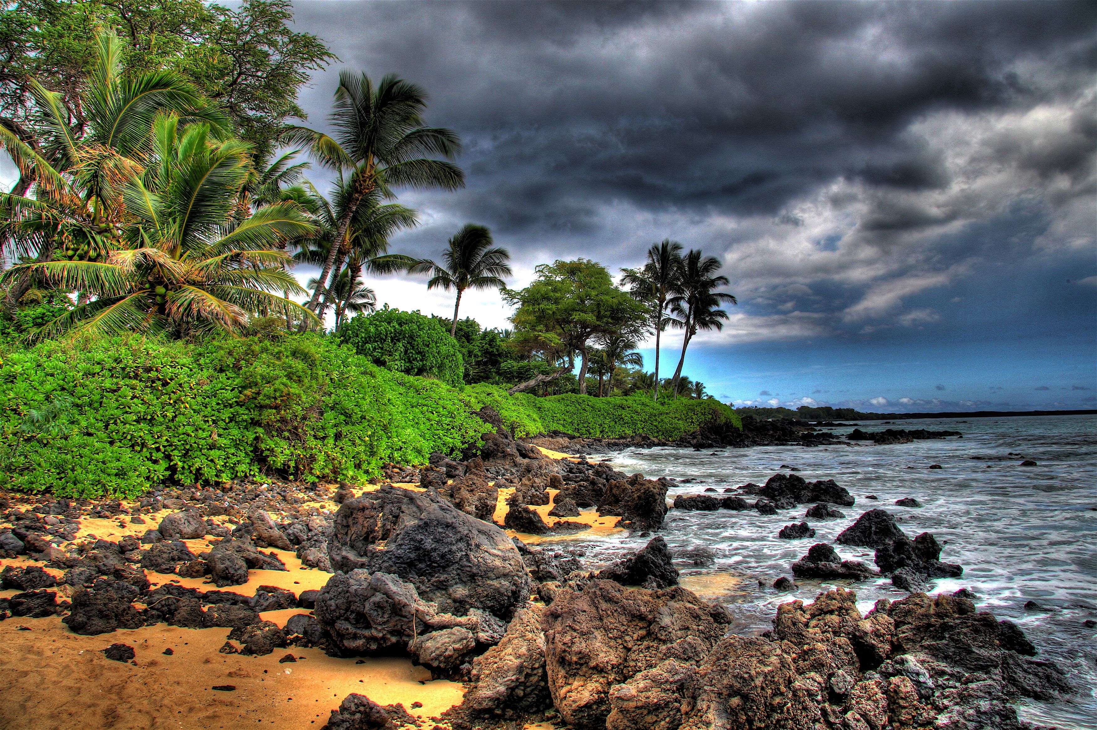 611041 télécharger l'image tropical, palmier, terre/nature, ile, nuage, rivage, tropiques - fonds d'écran et économiseurs d'écran gratuits