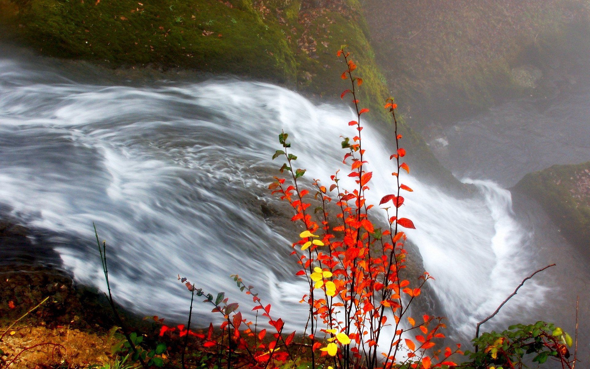 Download mobile wallpaper Waterfall, Flow, Leaves, Nature, Autumn for free.