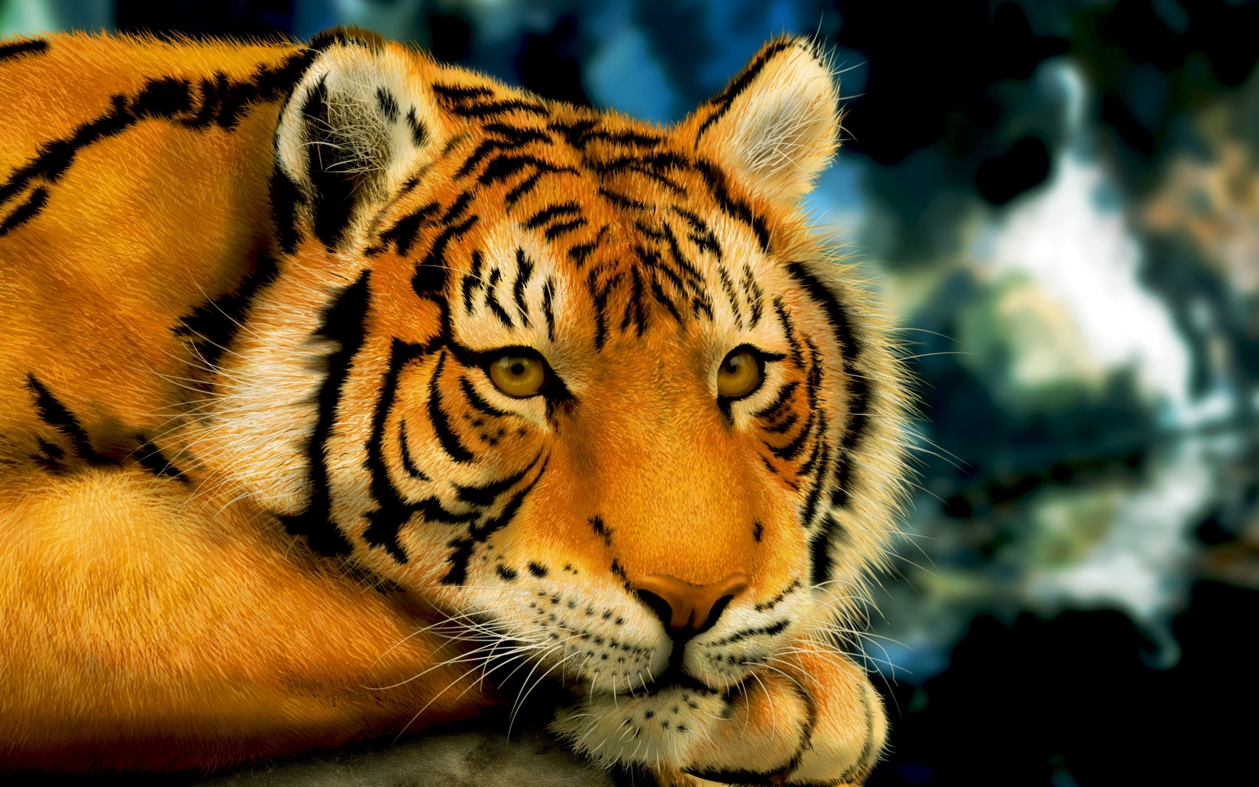 45717 baixar papel de parede tigres, animais - protetores de tela e imagens gratuitamente