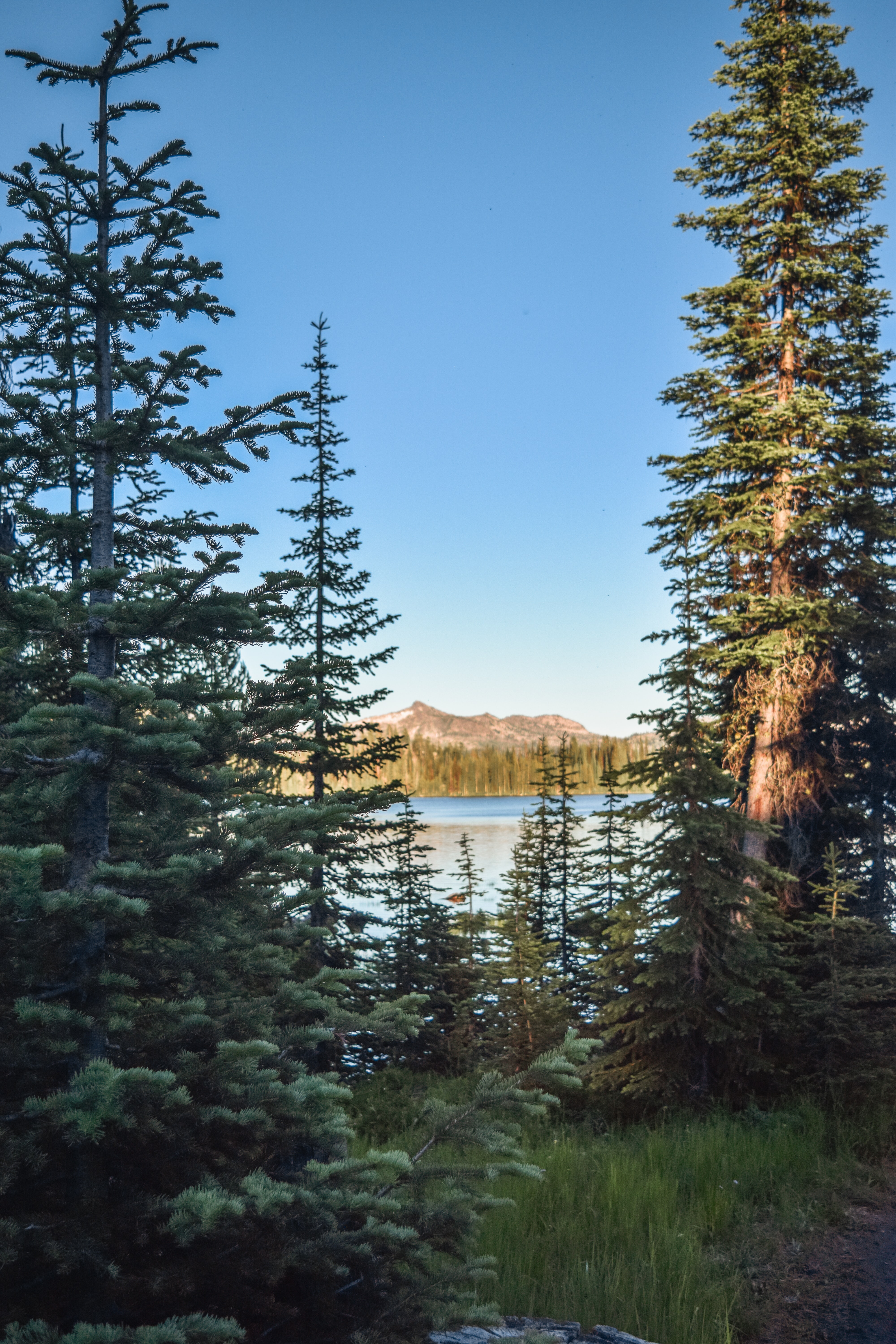 mountains, rivers, nature, trees, sky, spruce, fir Panoramic Wallpaper