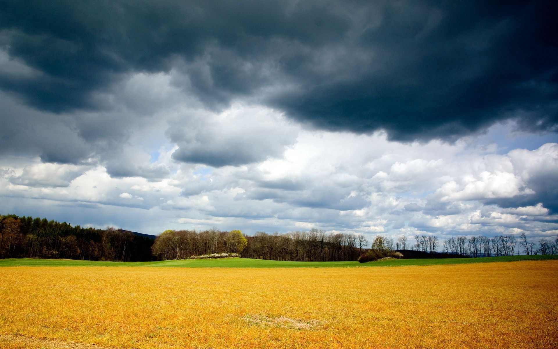 Free download wallpaper Nature, Grass, Sky, Summer, August, Thunderous, Beveled, Clouds, Field, Storm, Gloomy on your PC desktop