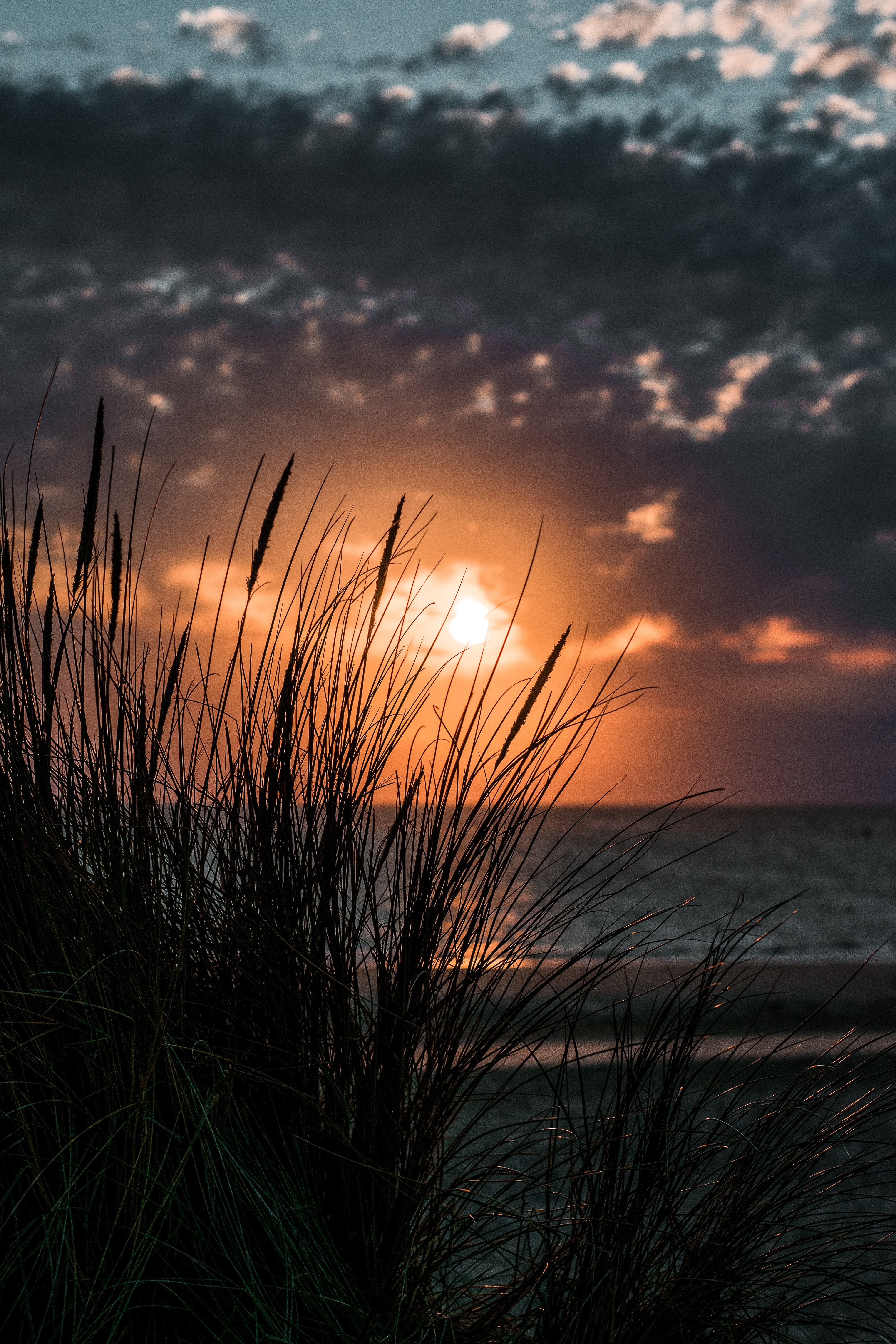 sunset, nature, grass, sea, horizon 1080p