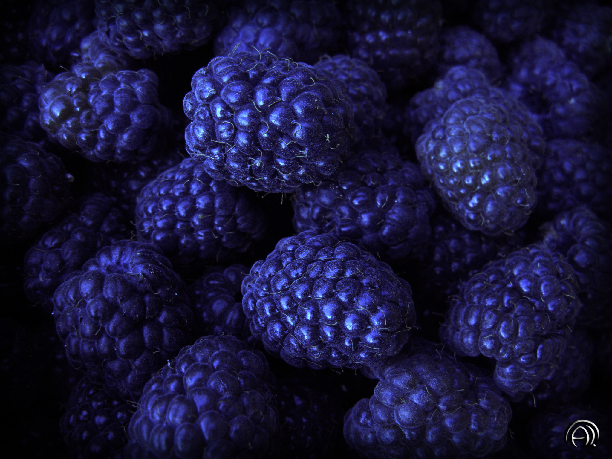 blue, food, bilberries, background, berries