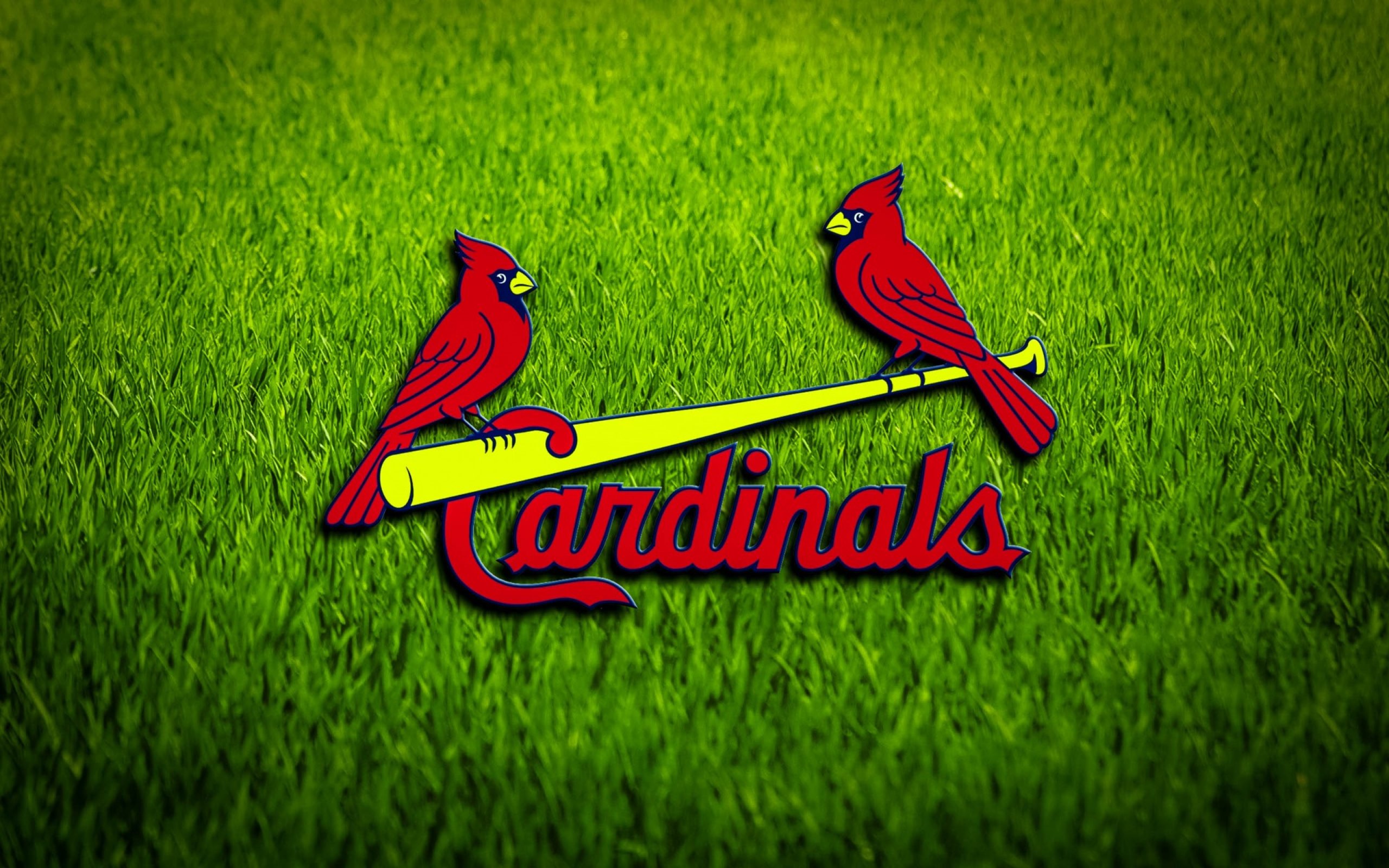 250-2008 St Louis Cardinals Neon  Cardinals wallpaper, St louis