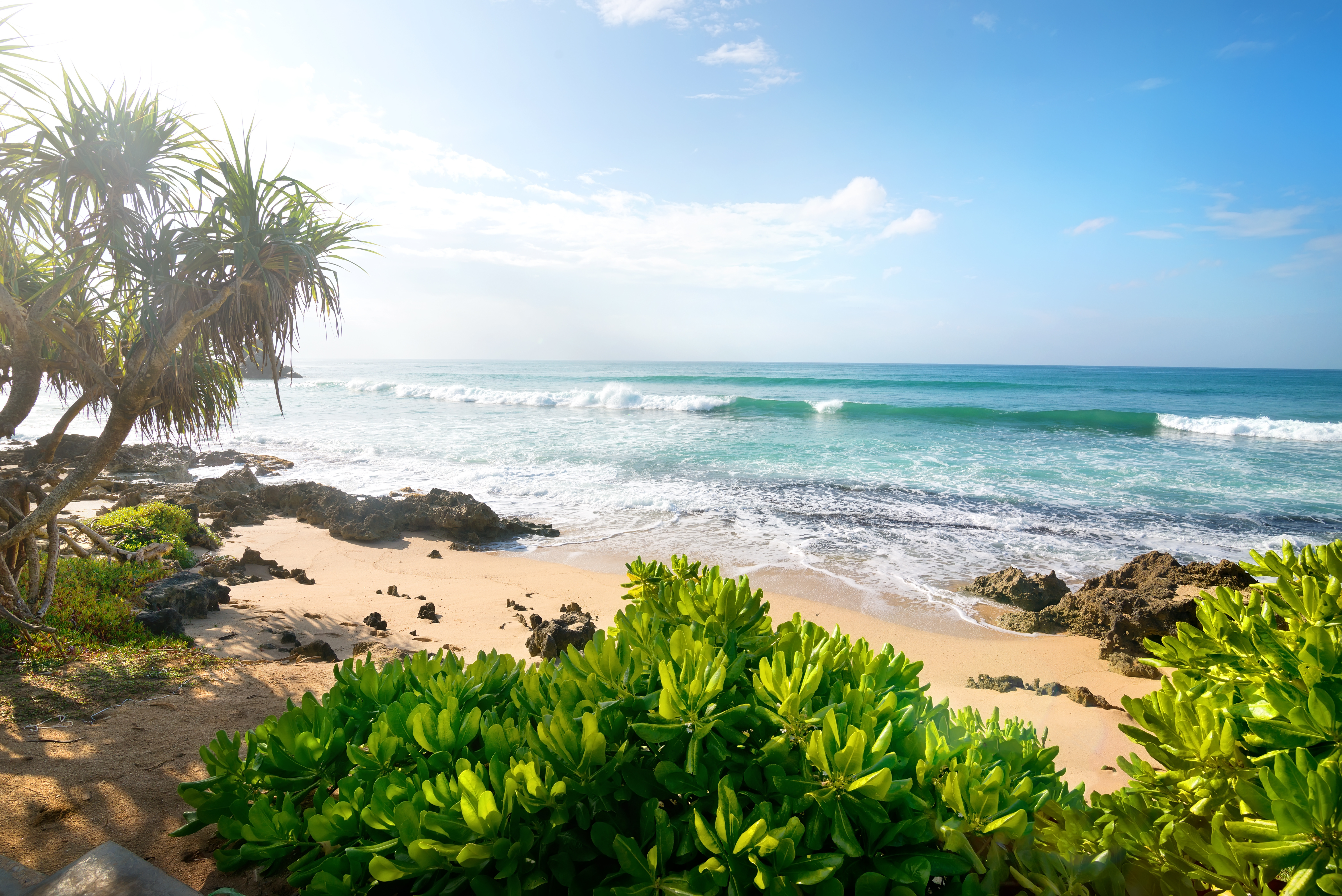 Море экзотика. Тропический пляж. Побережье с пальмами. Море пляж пальмы. Пляж с пальмами.
