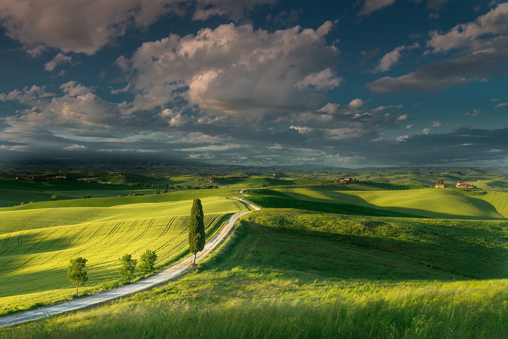 Италия, зеленые поля Тосканы