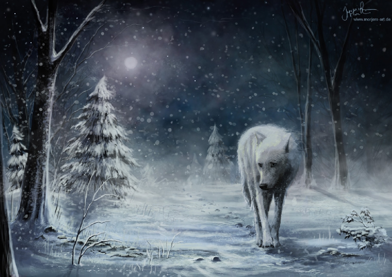 Волк в зимнем лесу ночью