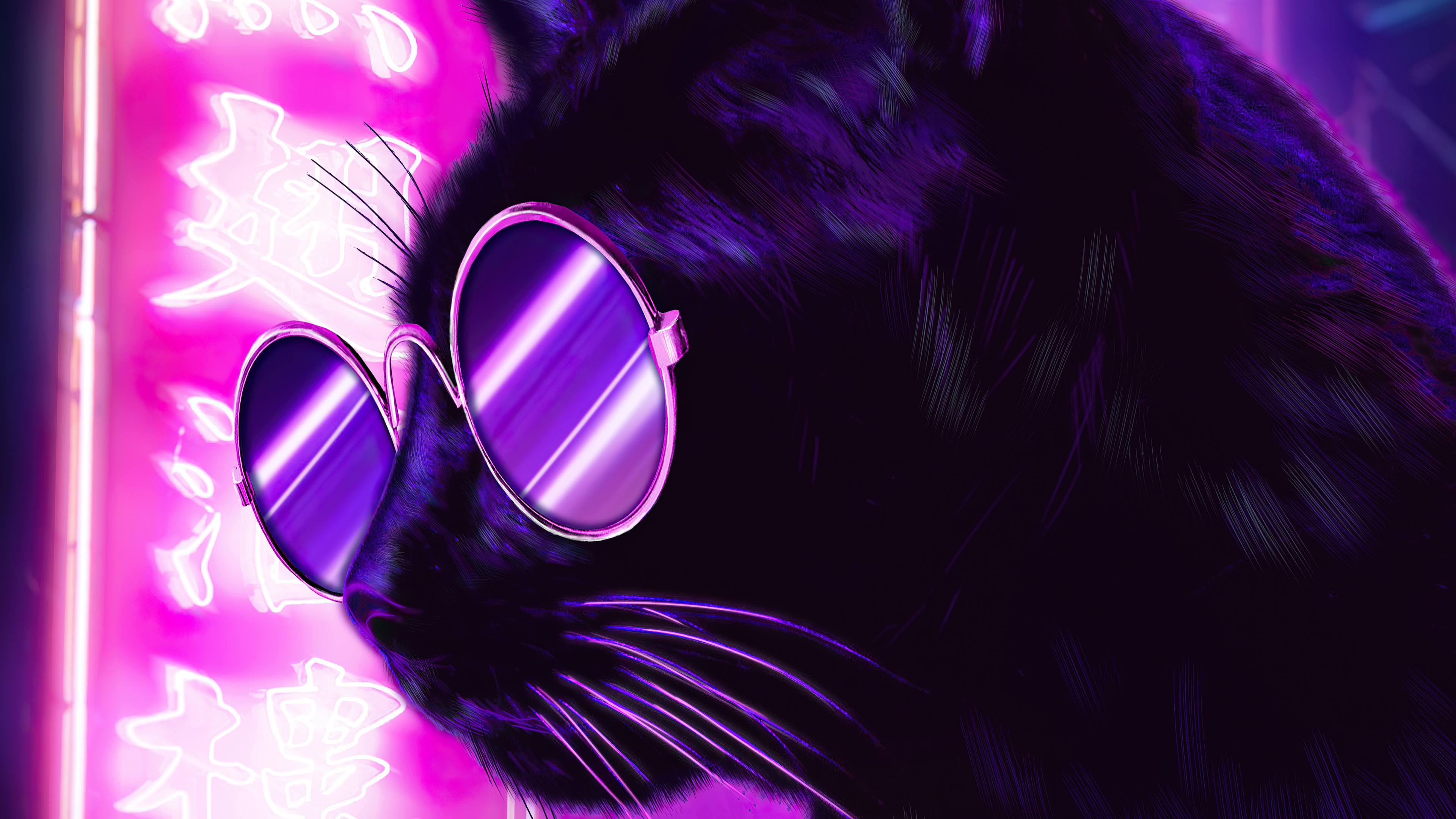 Кошка в очках рисунок