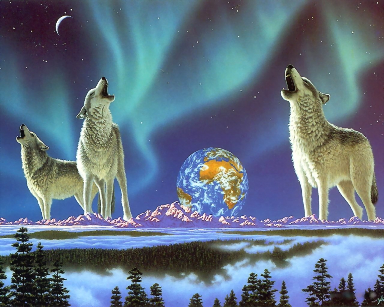 animals, wolfs, blue wallpapers for tablet