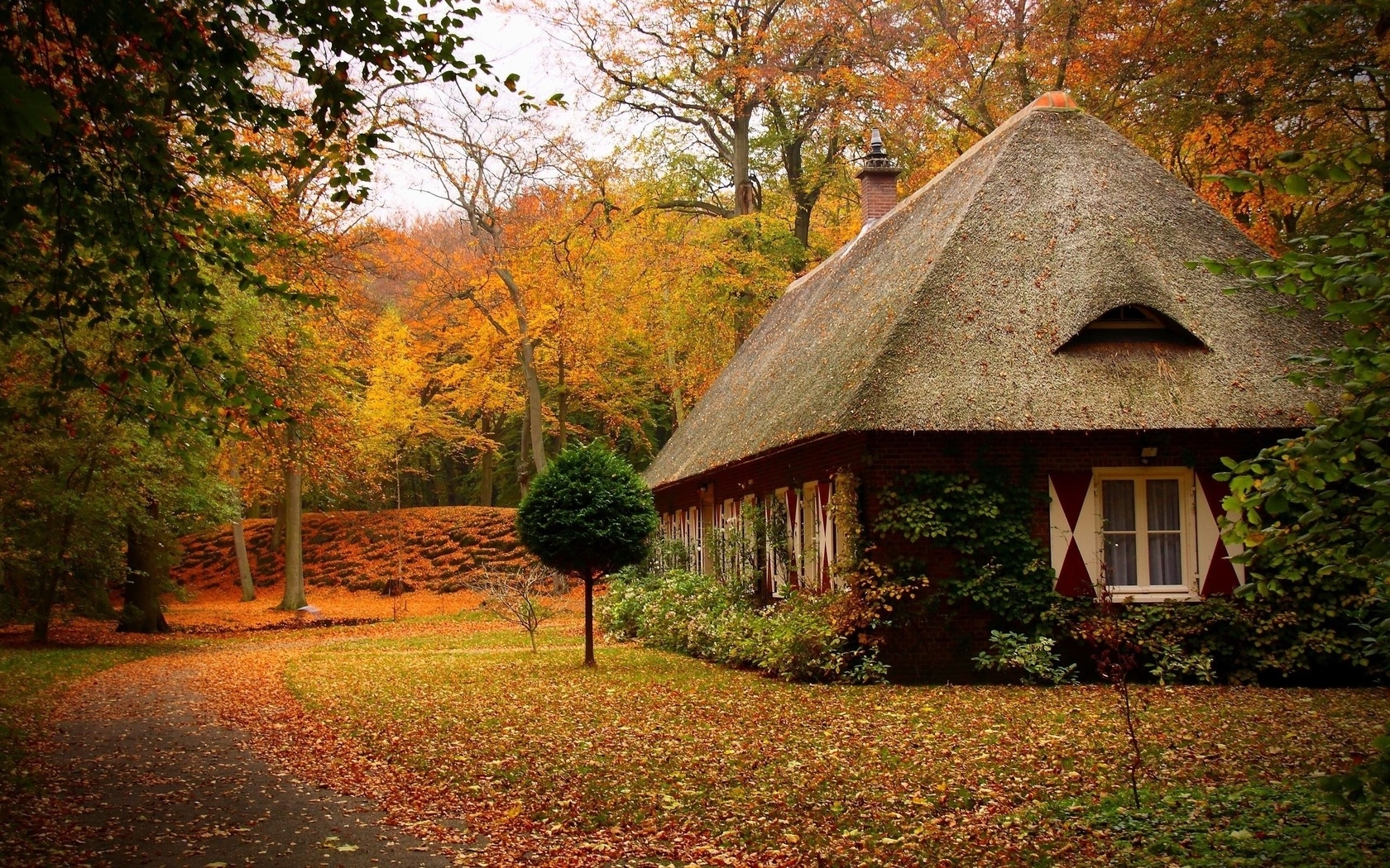 houses, nature, autumn, landscape, orange