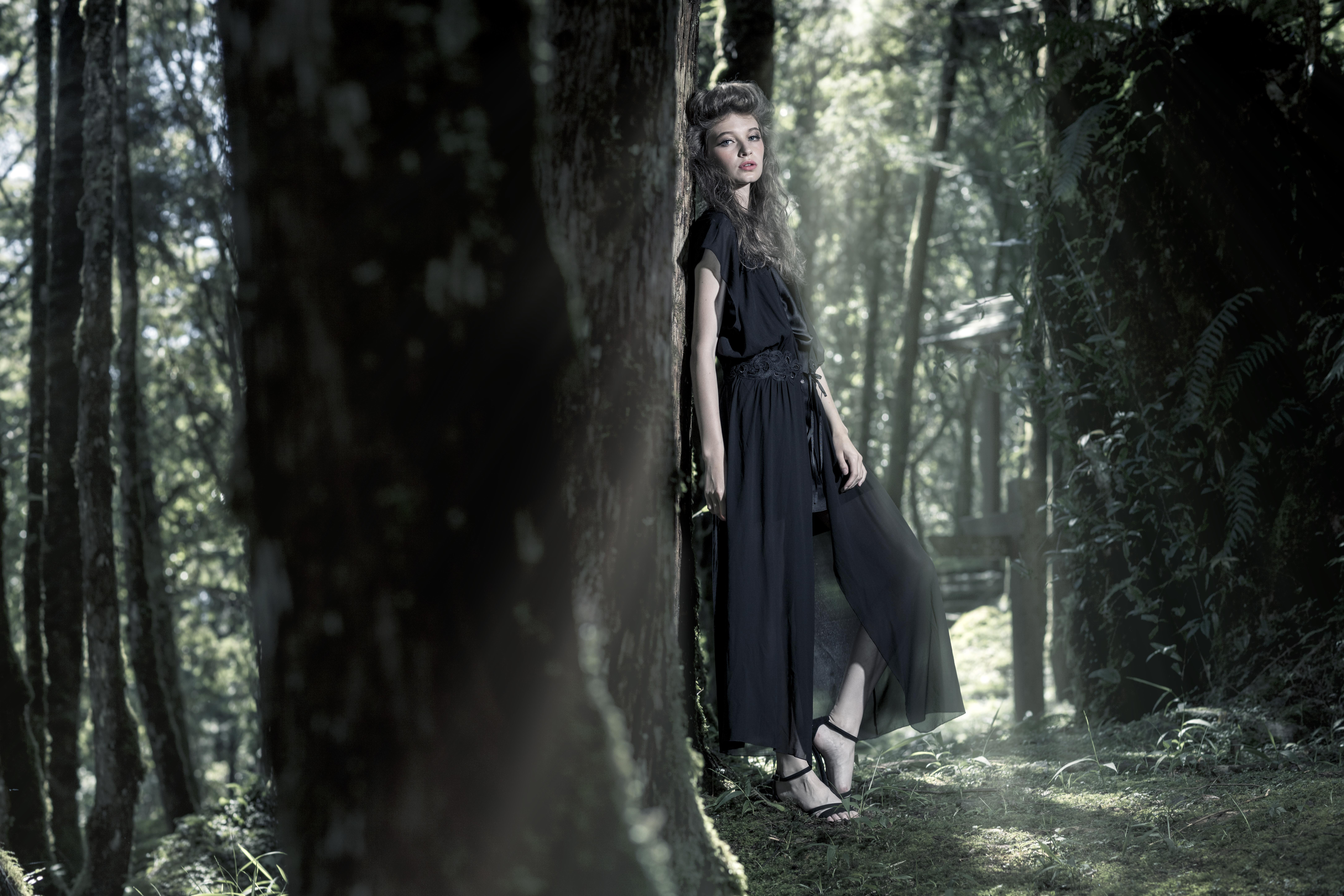 Download mobile wallpaper Forest, Mood, Model, Women, Sunbeam, Black Dress for free.