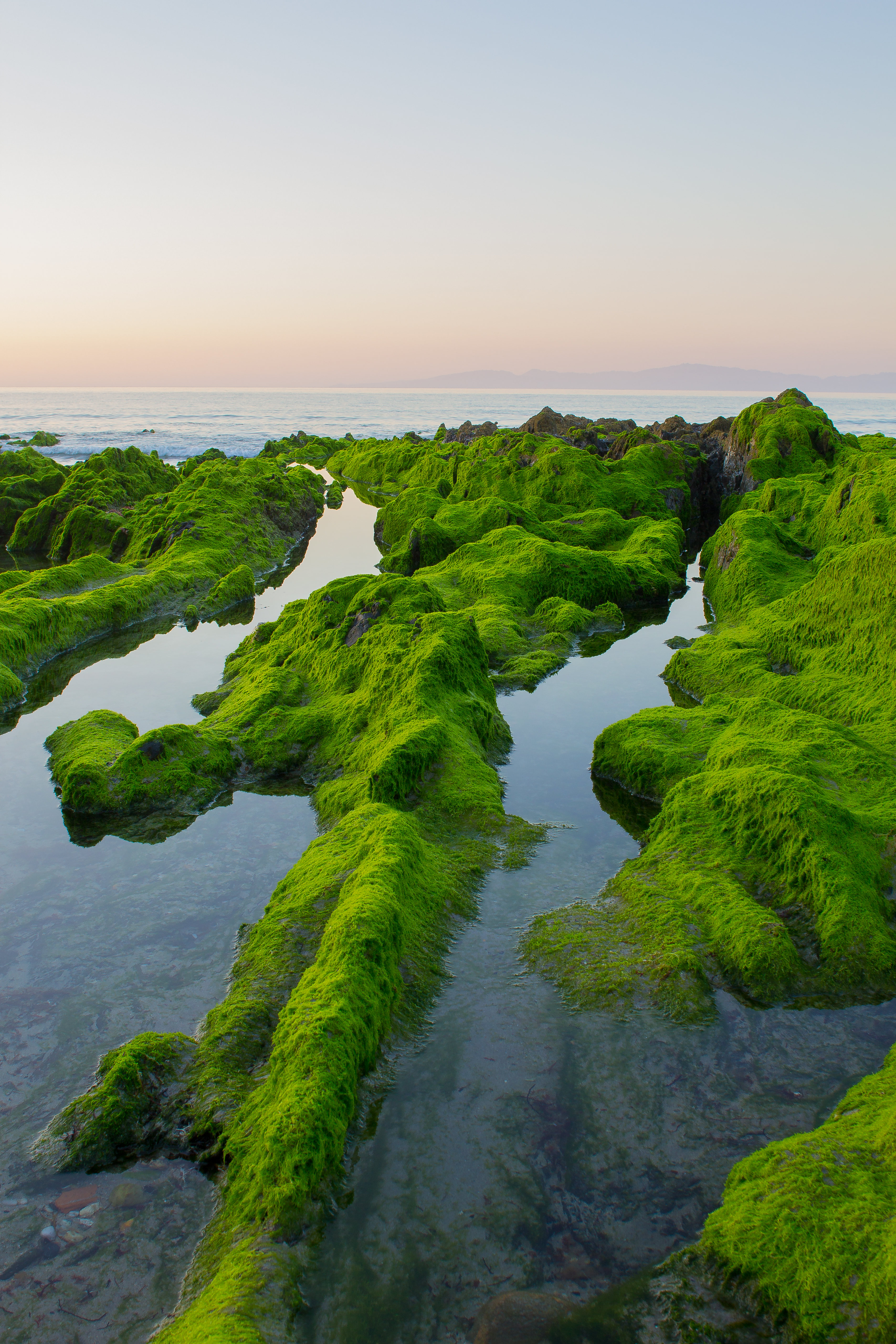 moss, nature, sky, sea, rocks, horizon Phone Background